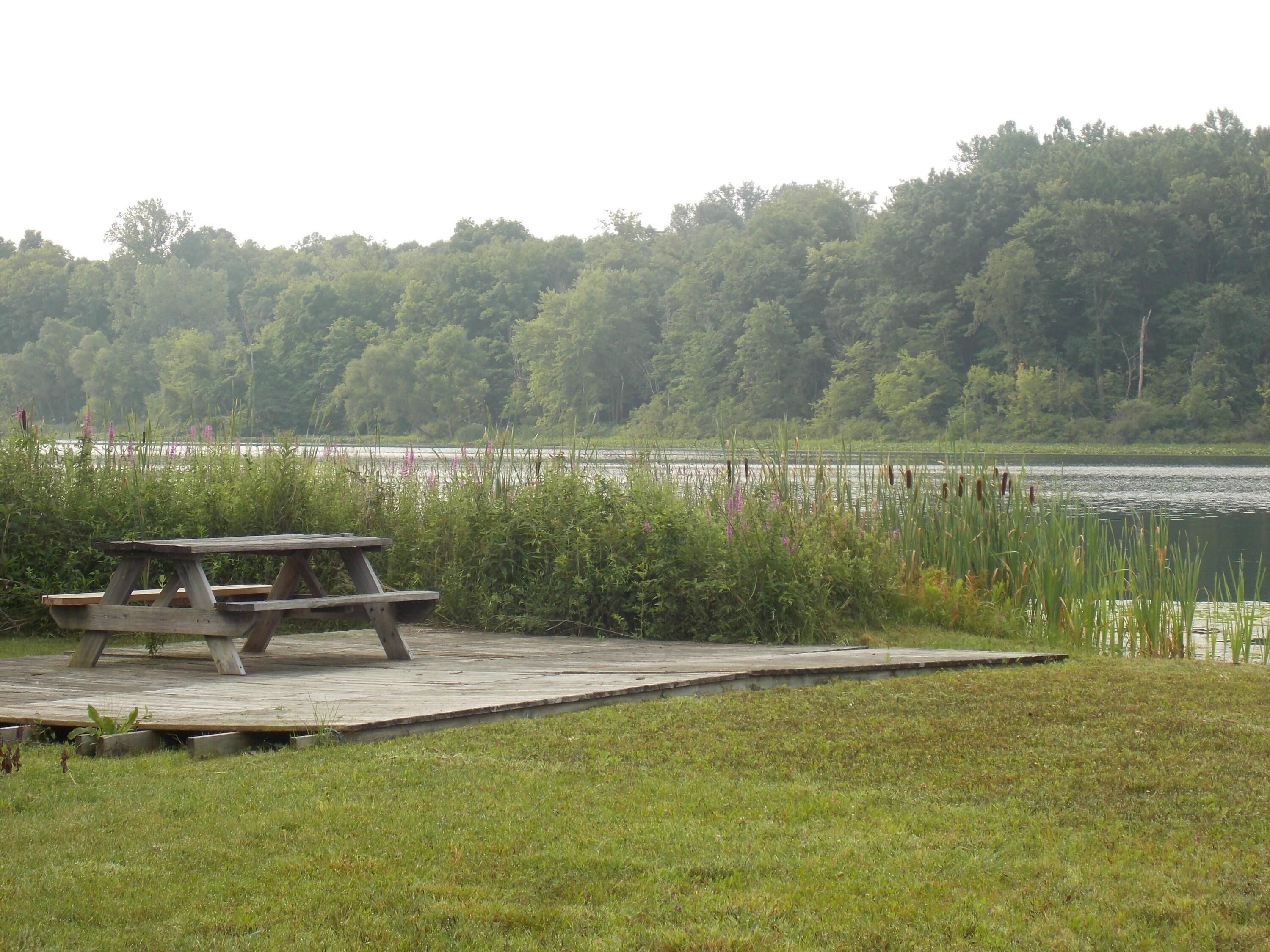 Lot #10 Long Lake Drive Cassopolis MI 49031