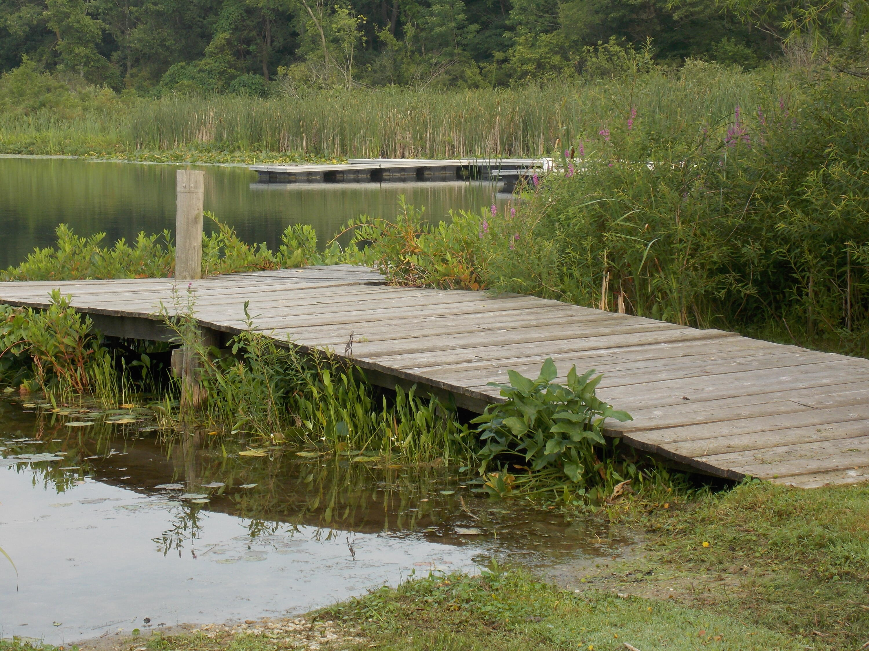 Lot #10 Long Lake Drive Cassopolis MI 49031