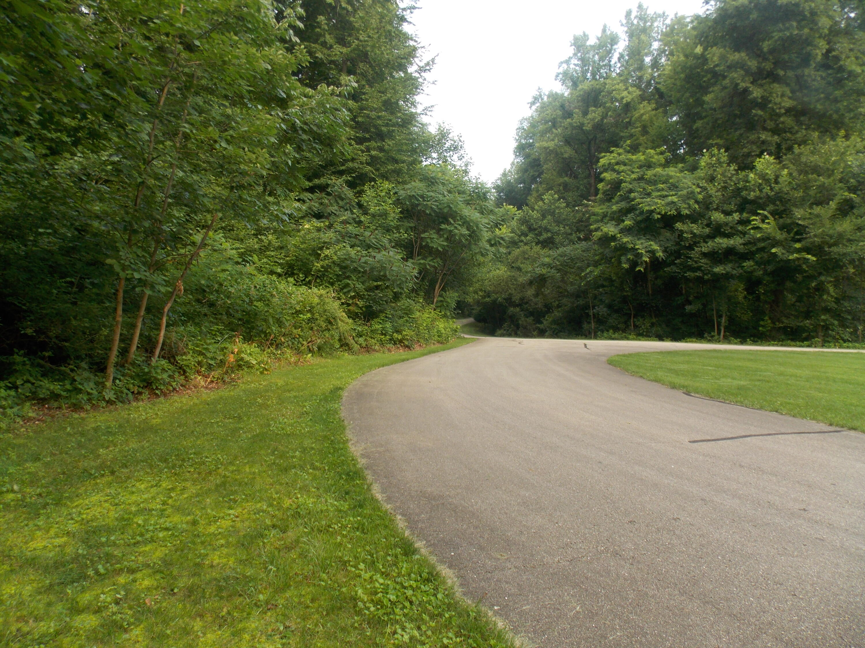 Lot #10 Long Lake Drive Cassopolis MI 49031