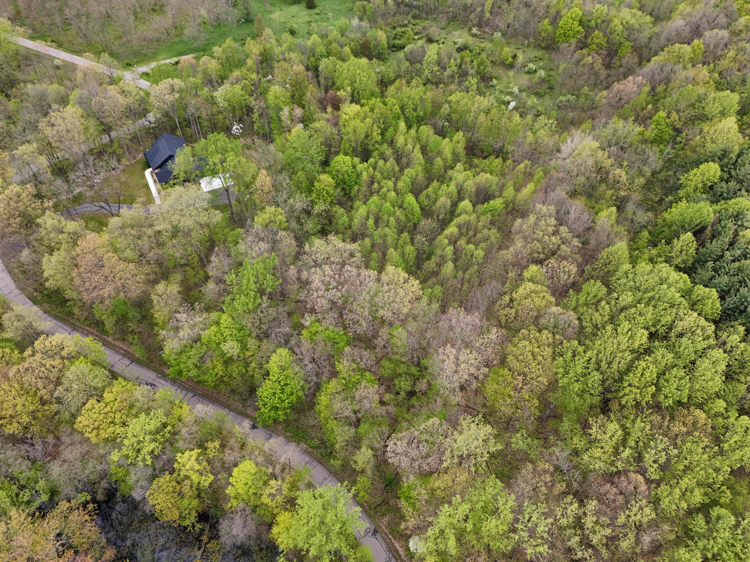 Lot #10 Long Lake Drive Cassopolis MI 49031