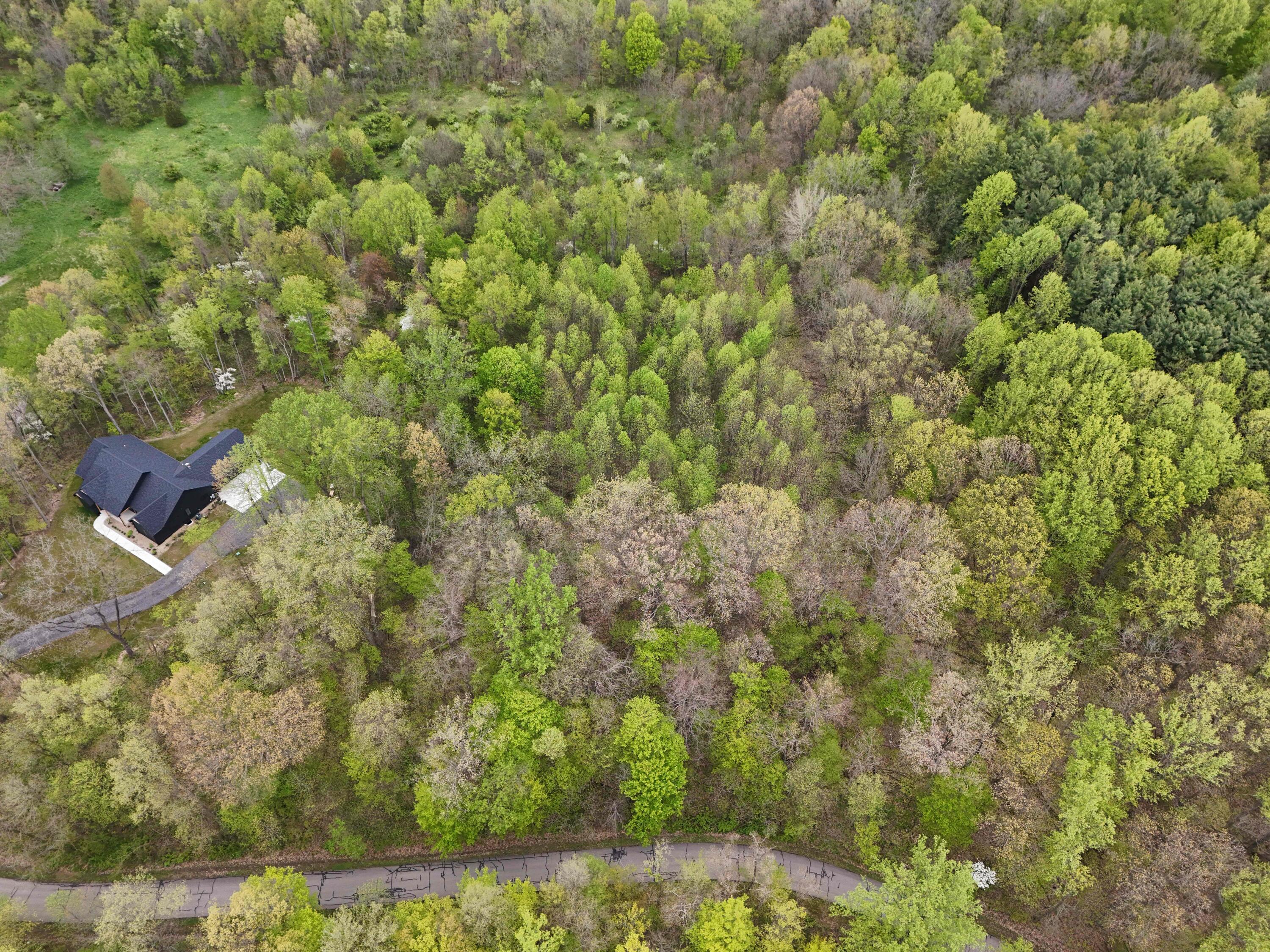 Lot #10 Long Lake Drive Cassopolis MI 49031