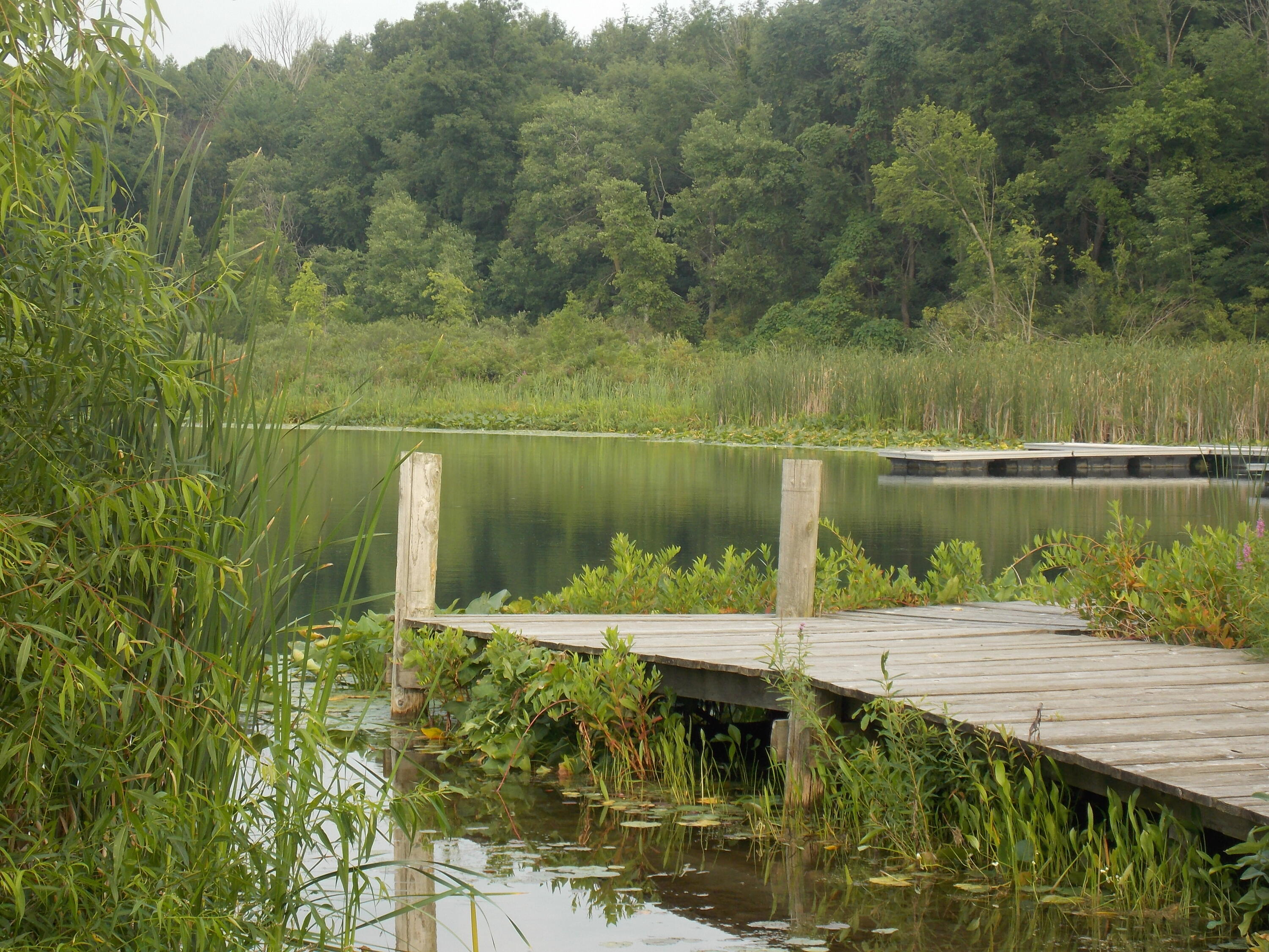 Lot #10 Long Lake Drive Cassopolis MI 49031
