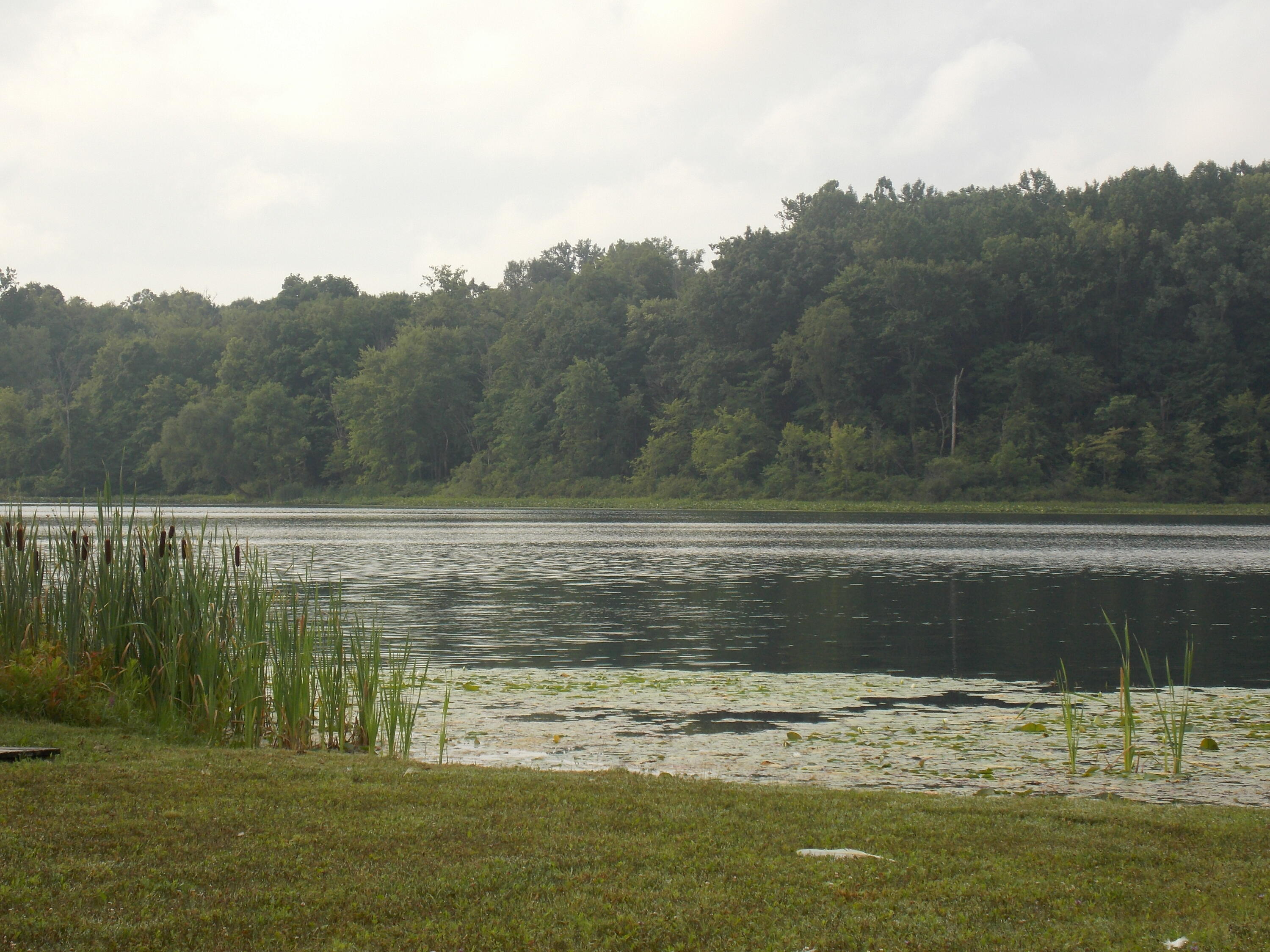 Lot #10 Long Lake Drive Cassopolis MI 49031