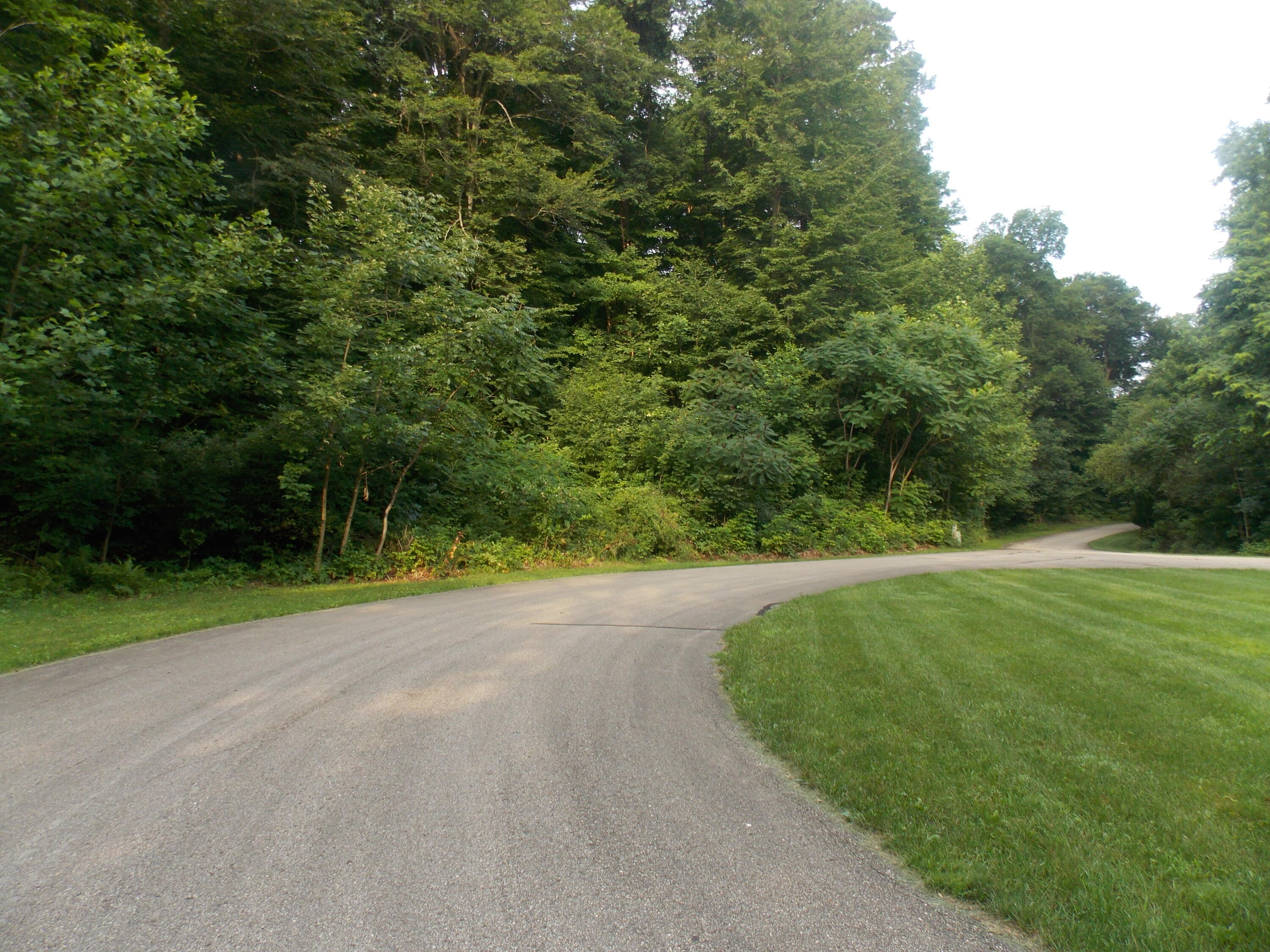 Lot #10 Long Lake Drive Cassopolis MI 49031