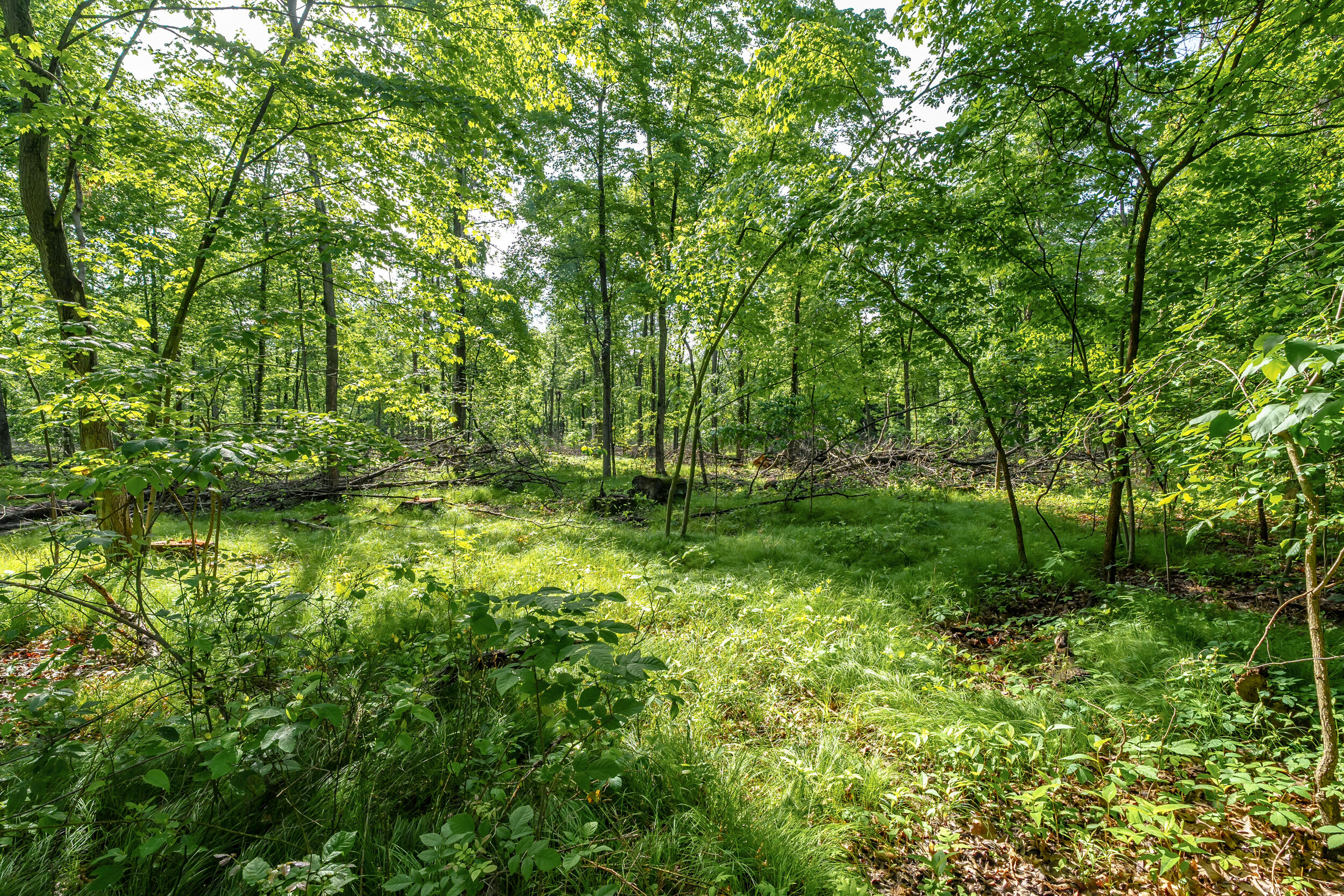 10905 E Shore Drive Portage MI 49002