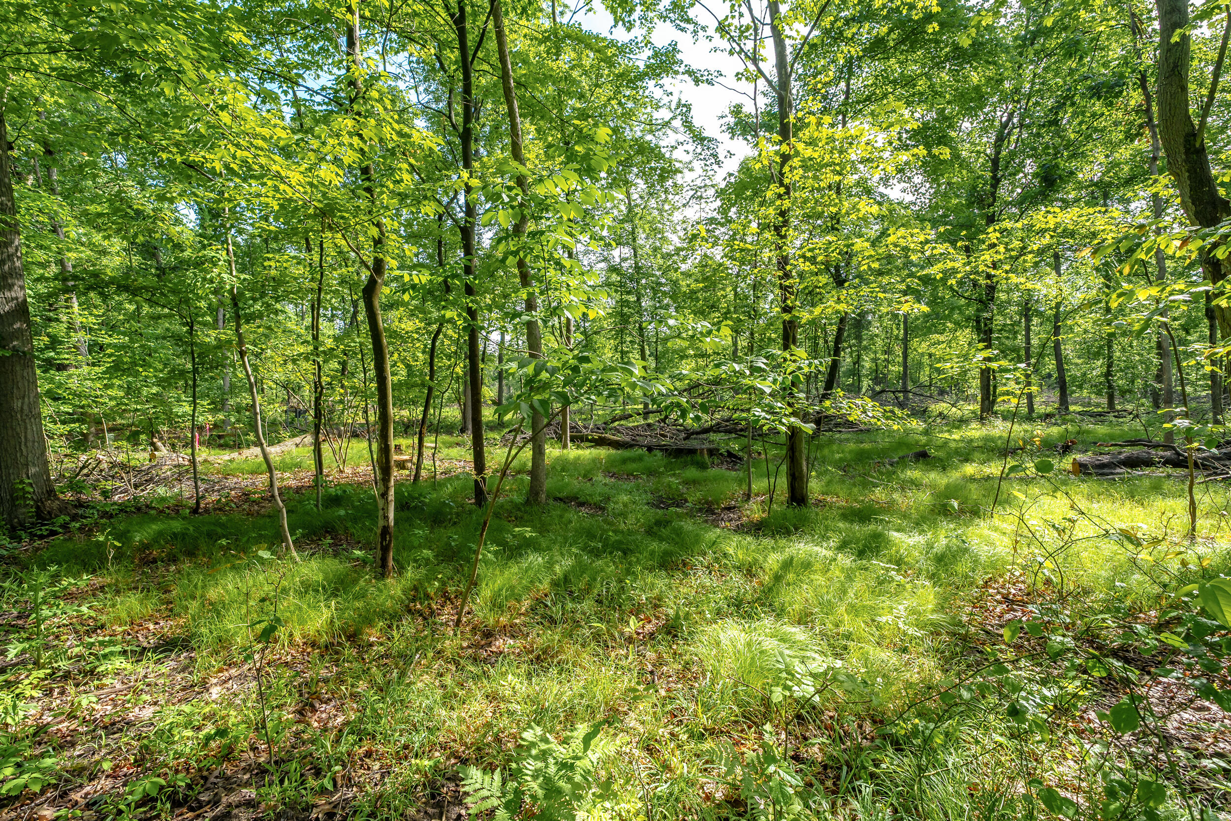 10905 E Shore Drive Portage MI 49002