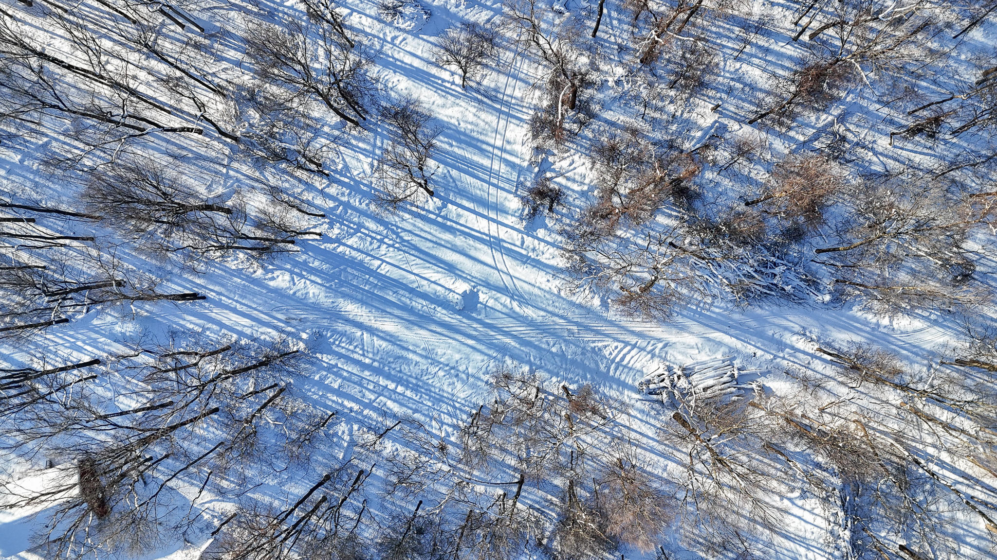 2 Forest Road Dowagiac MI 49047