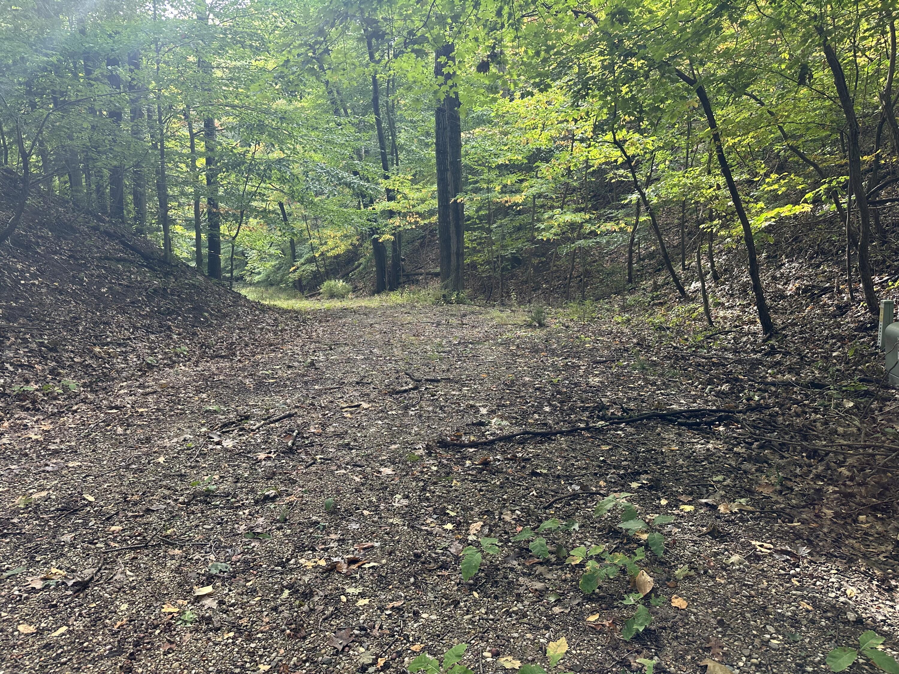 0 Twin Oaks Road Bridgman MI 49106