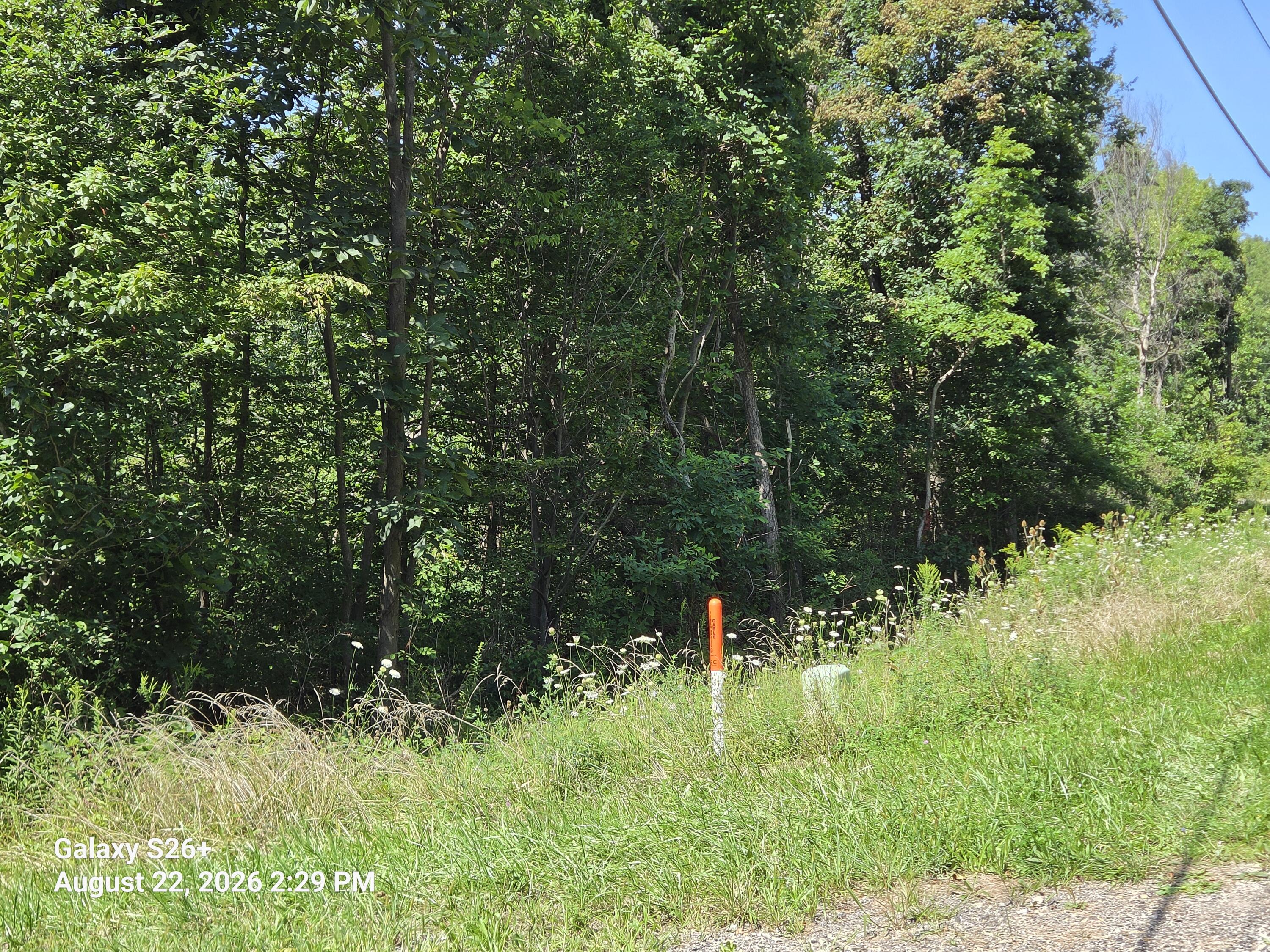 3079 Pershing Drive Coloma MI 49038