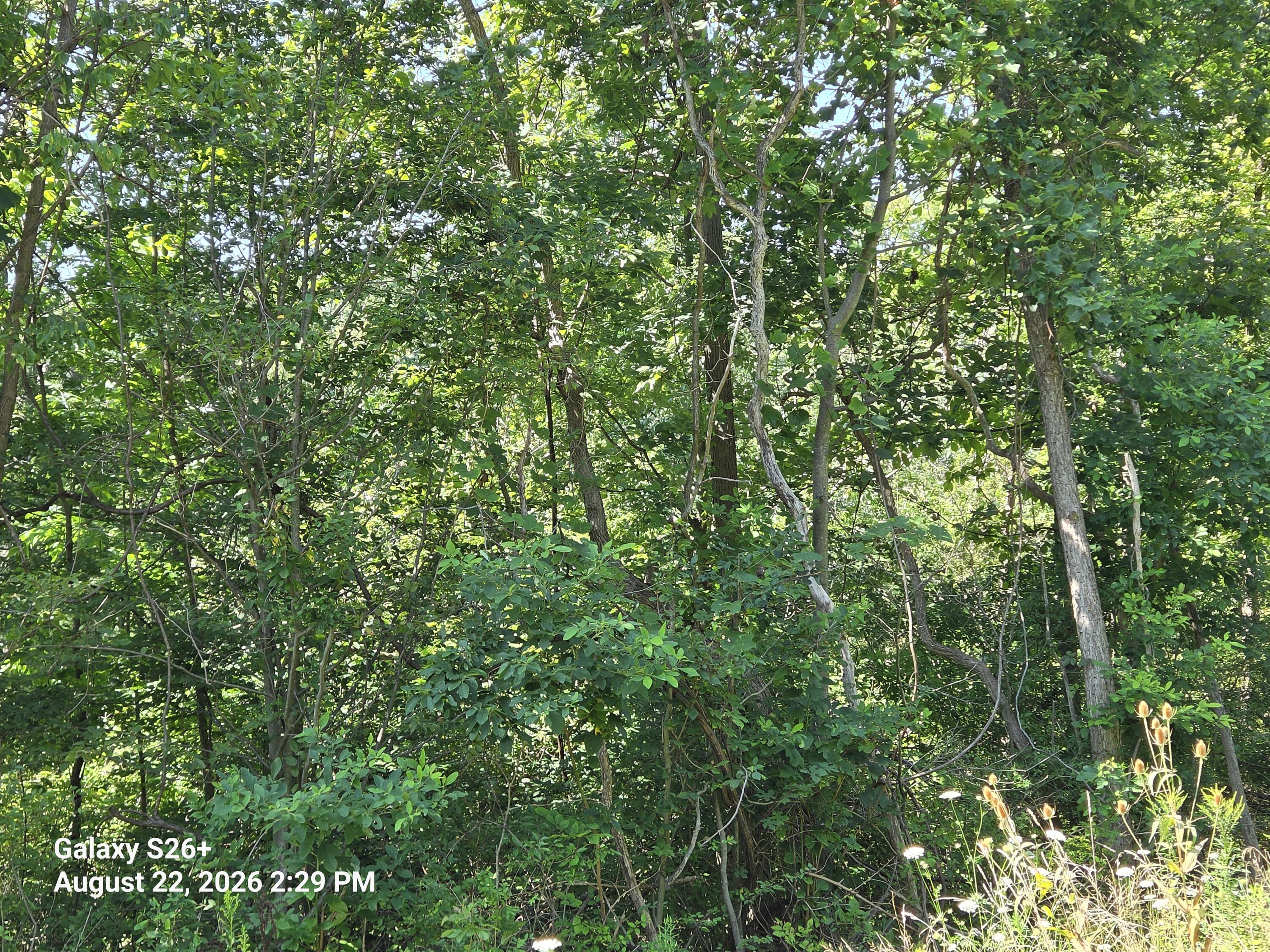 3079 Pershing Drive Coloma MI 49038