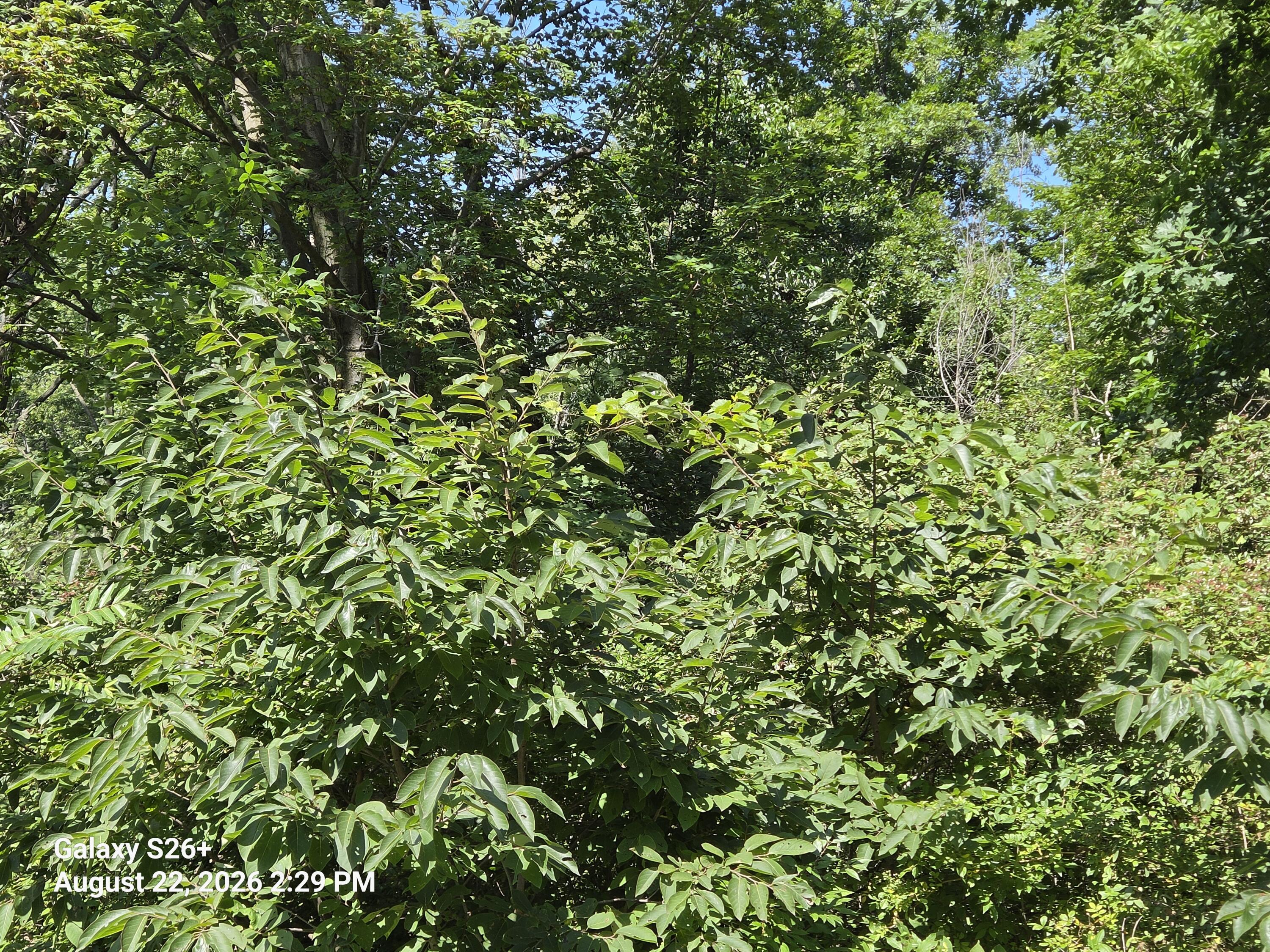 3079 Pershing Drive Coloma MI 49038