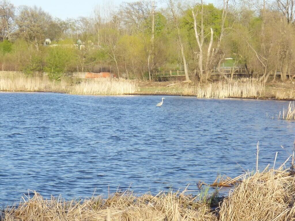 1794 Lakeshore Drive Muskegon MI 49441