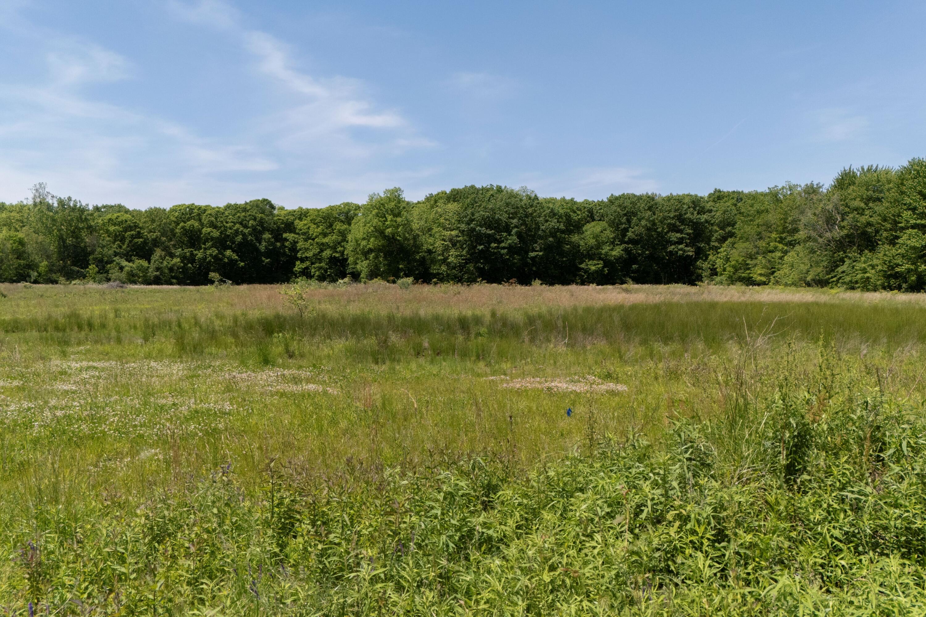 New Buffalo MI, V/L #1 Lakeside Road