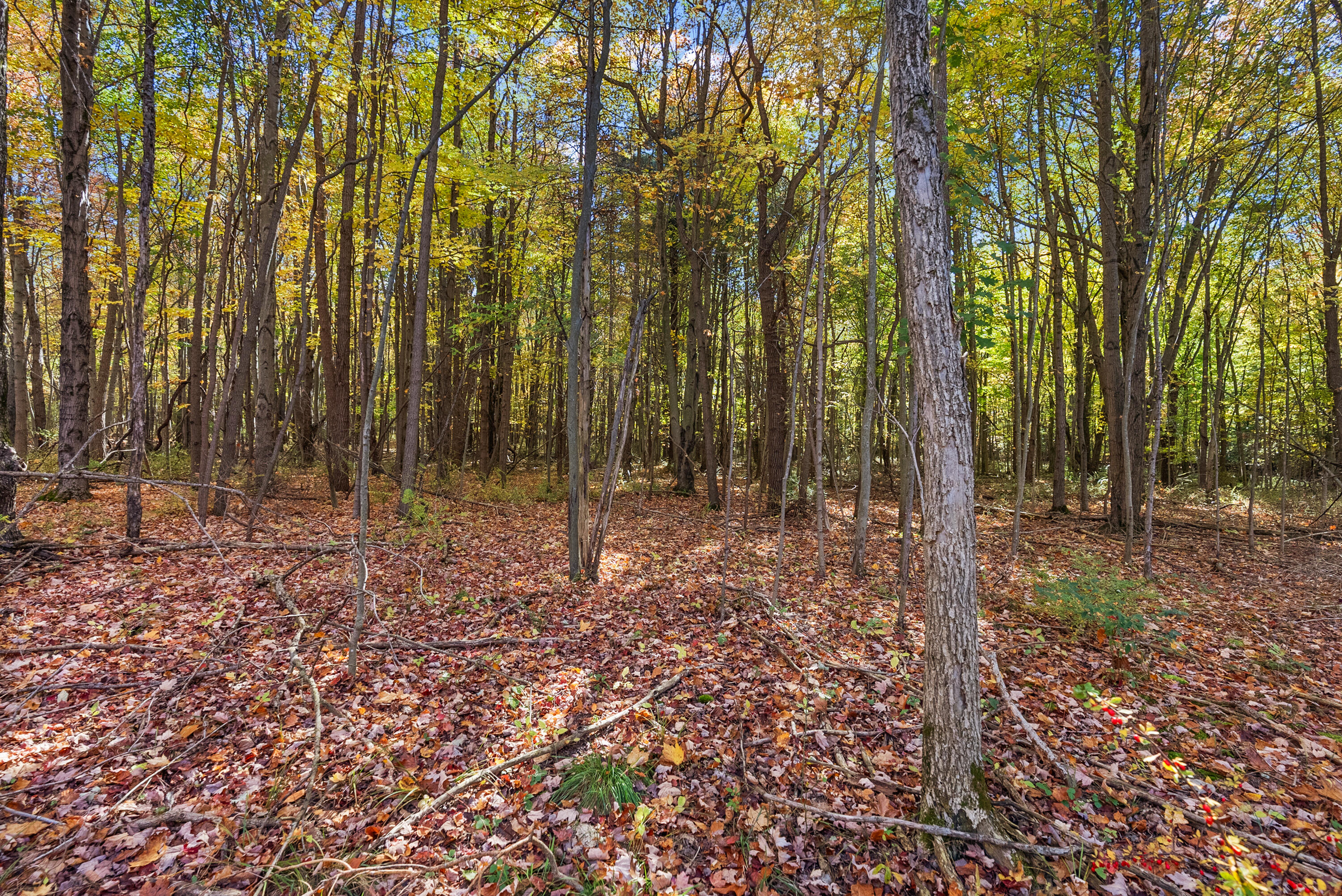Lot 3 Christopher Court South Haven MI 49090