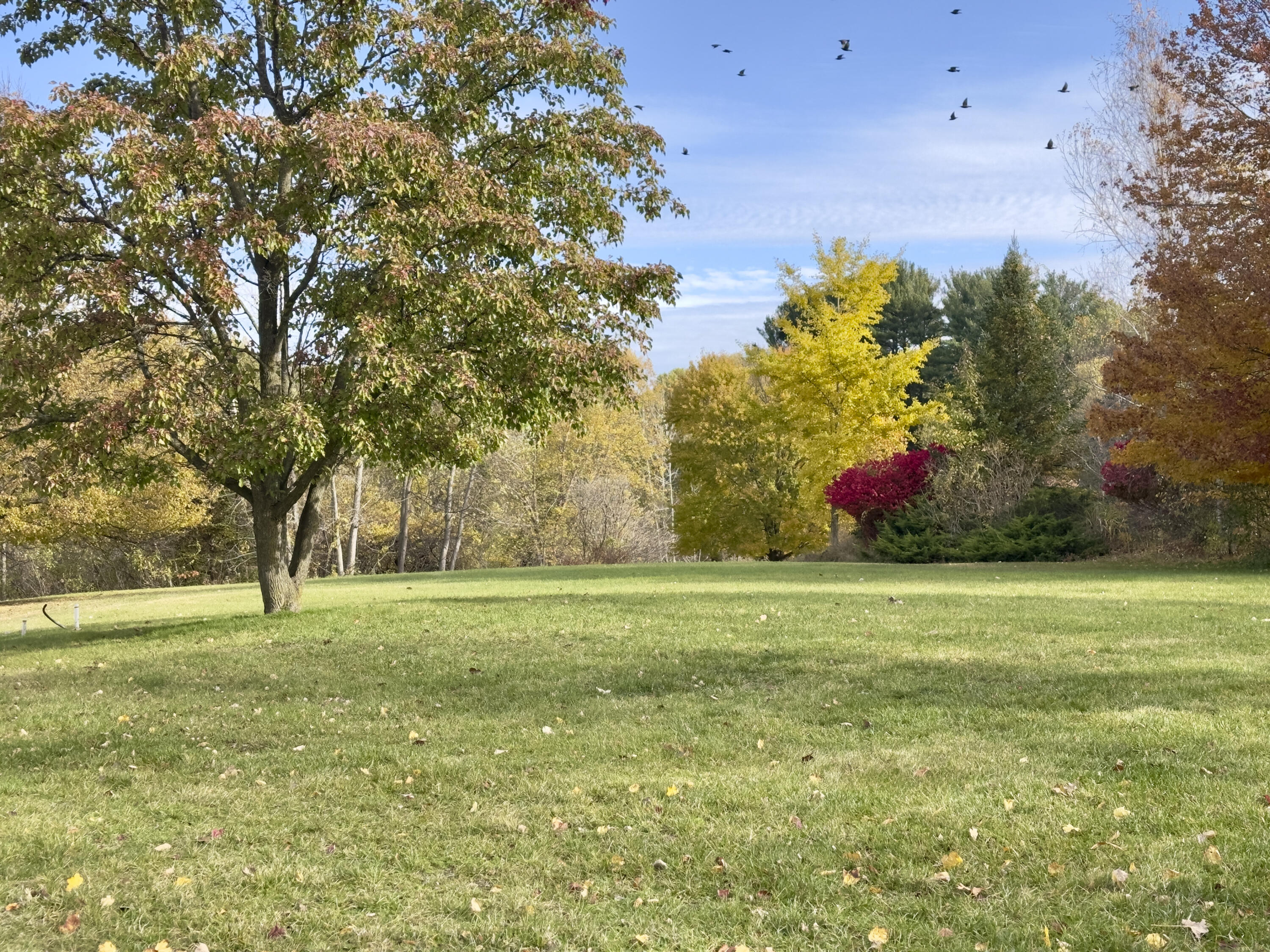 19253 White Pine Drive New Buffalo MI 49117