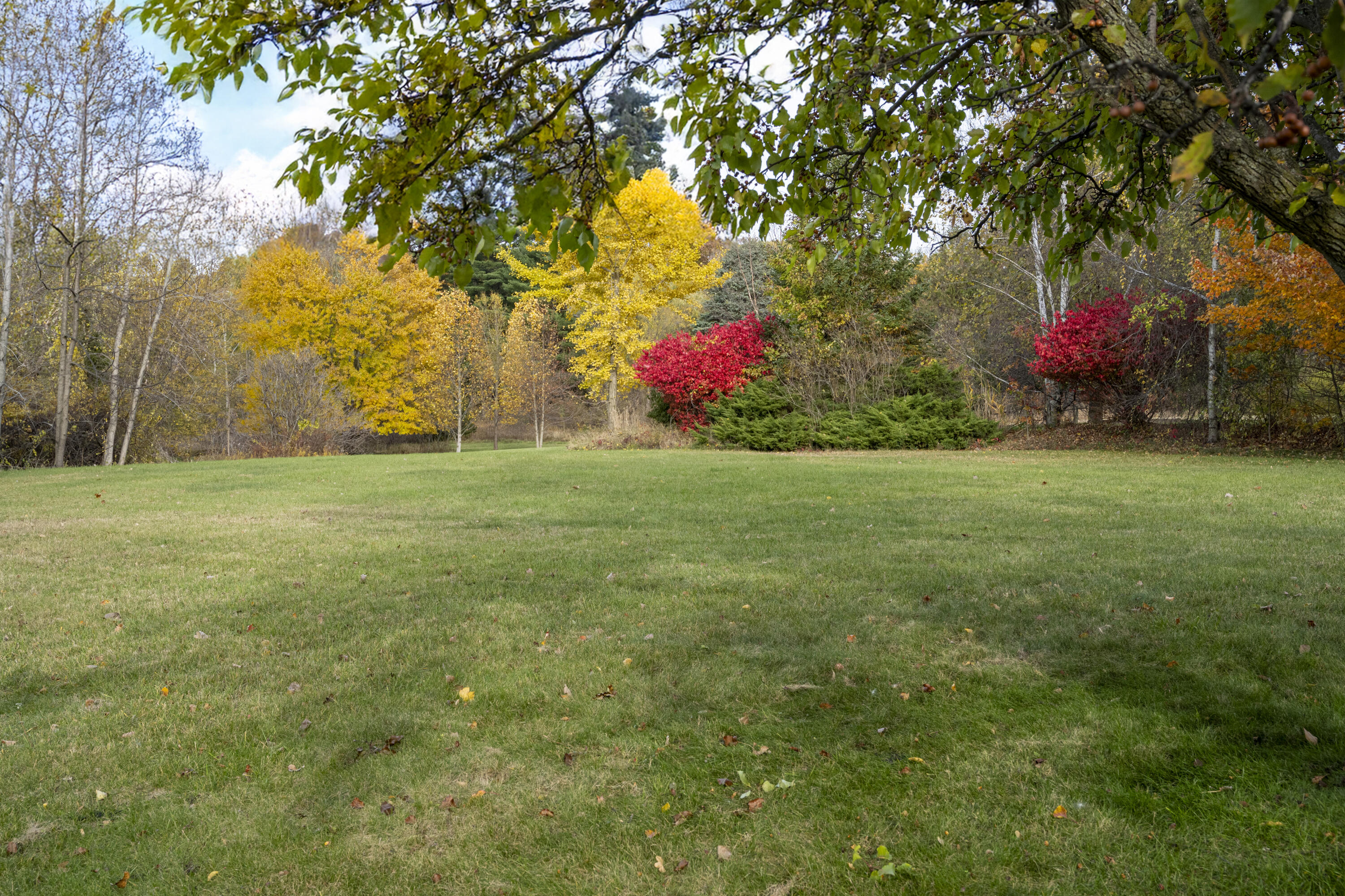 19253 White Pine Drive New Buffalo MI 49117