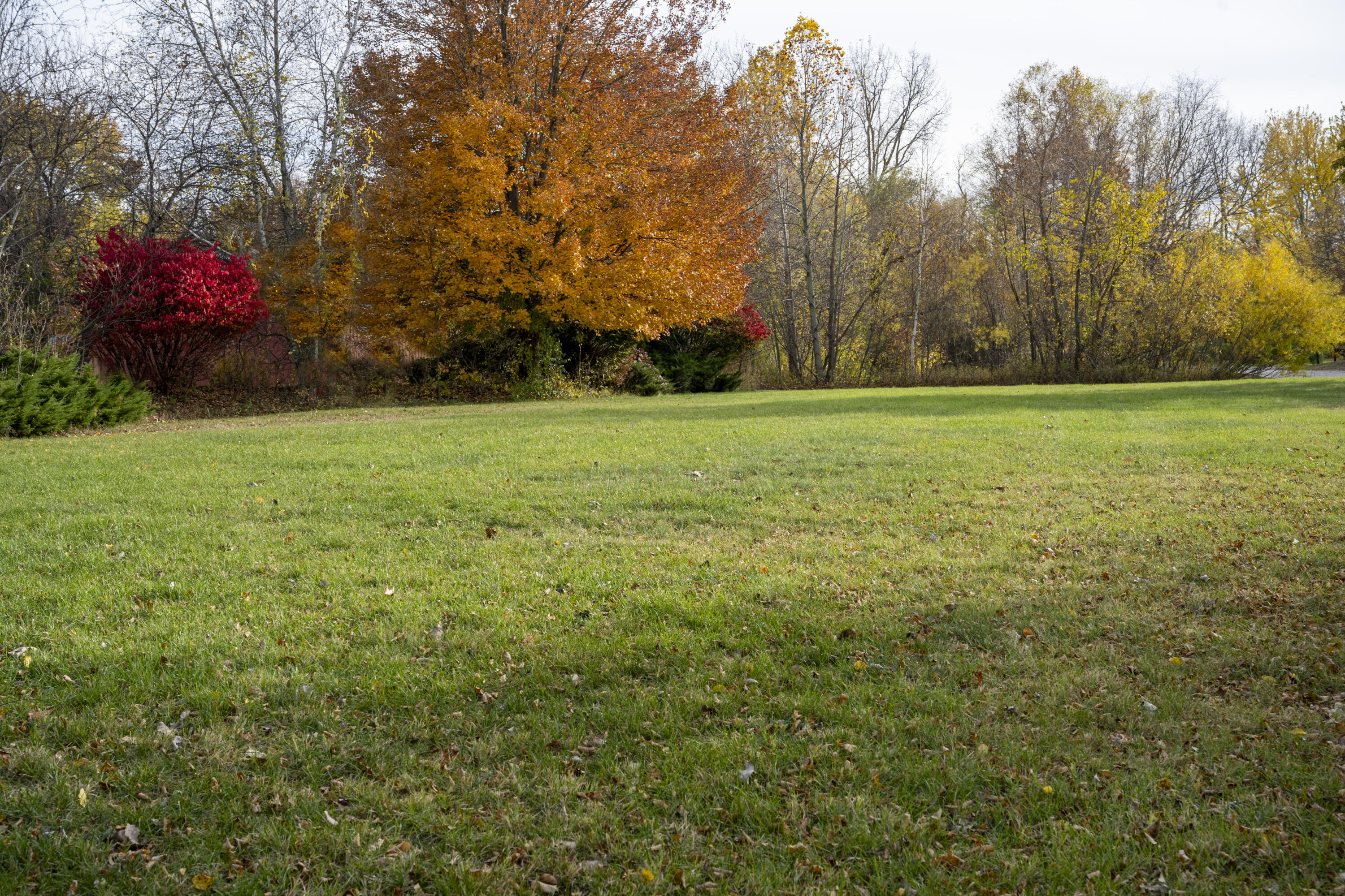 19253 White Pine Drive New Buffalo MI 49117