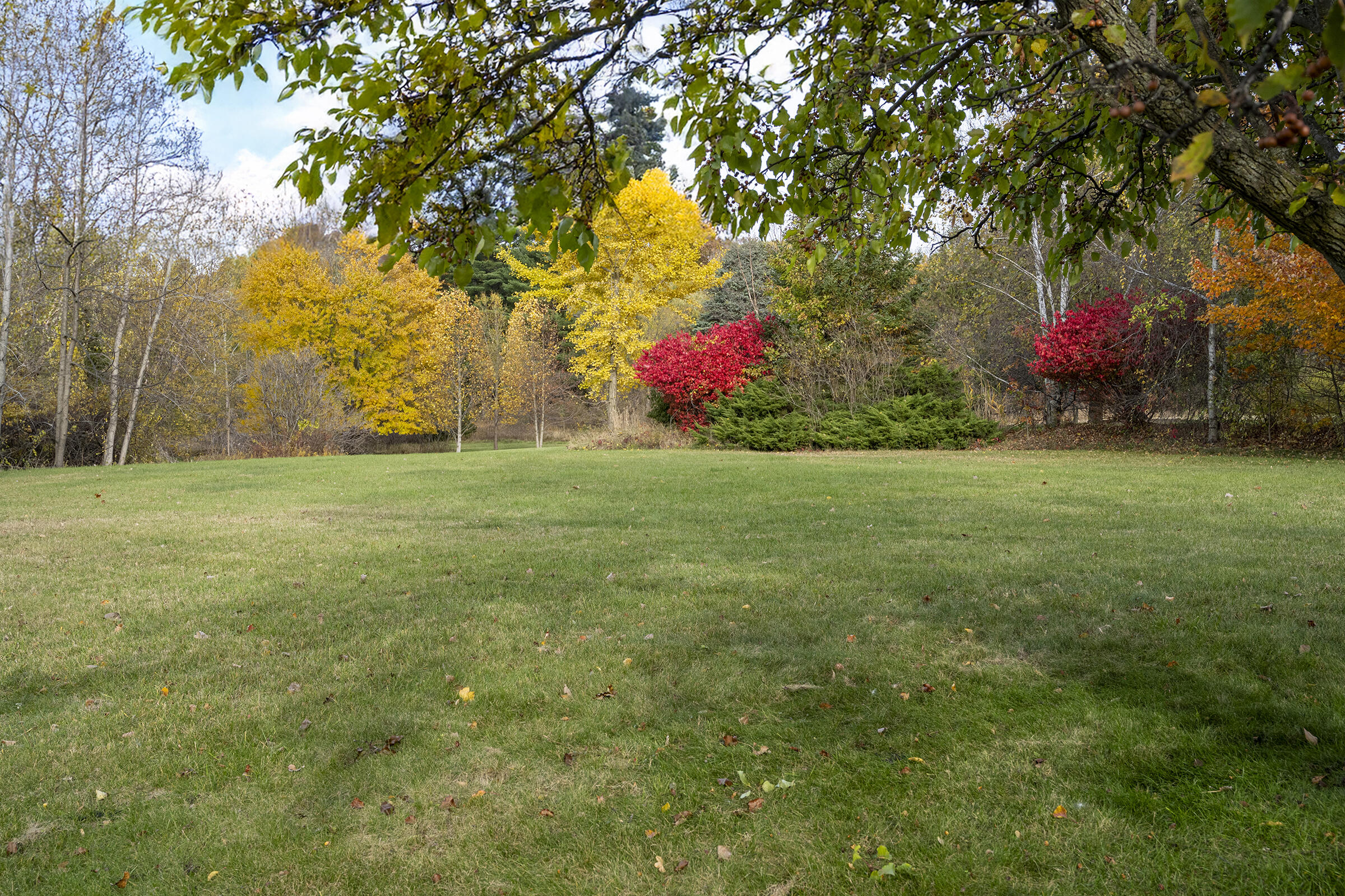 19253 White Pine Drive New Buffalo MI 49117