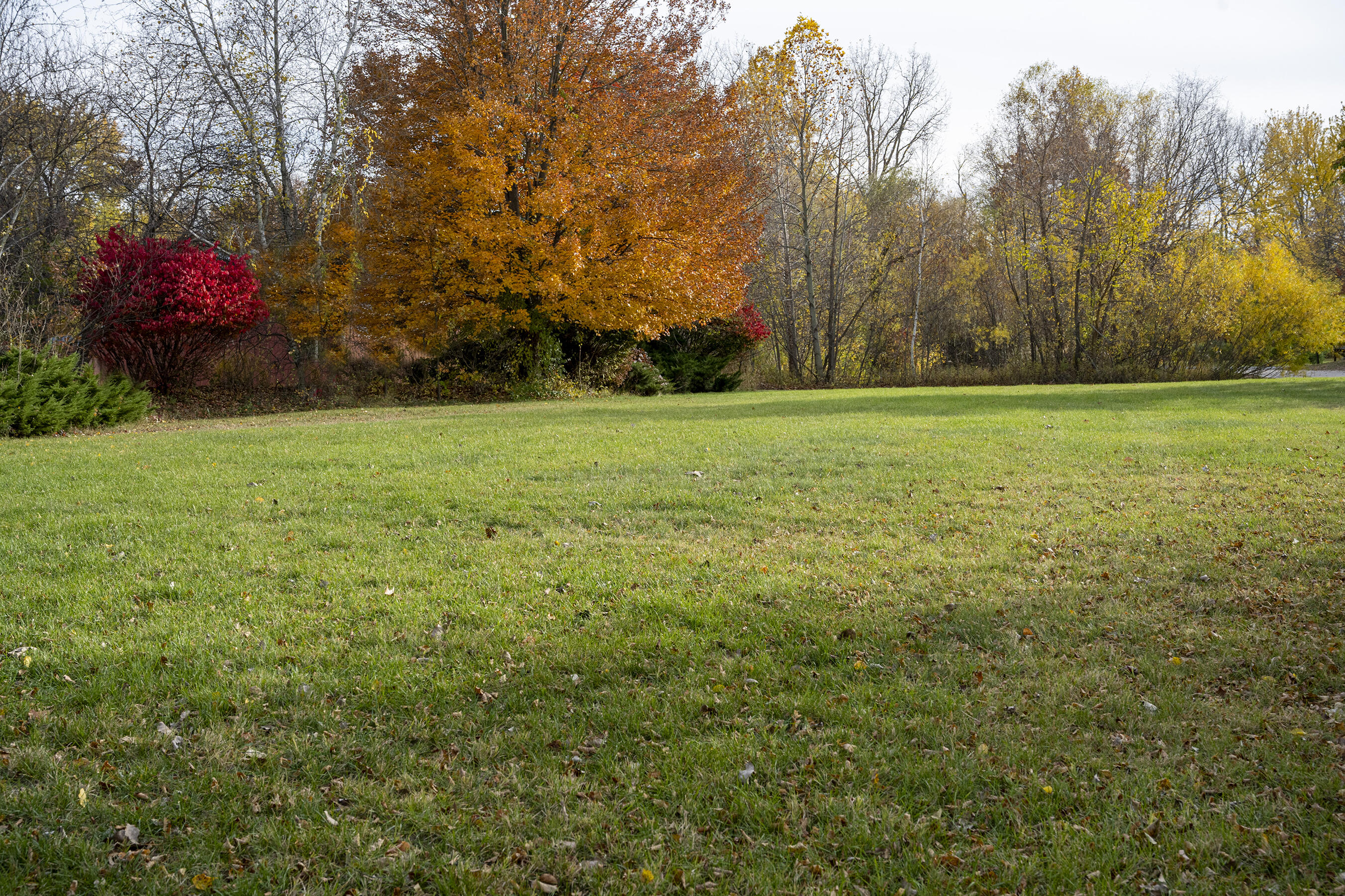 19253 White Pine Drive New Buffalo MI 49117