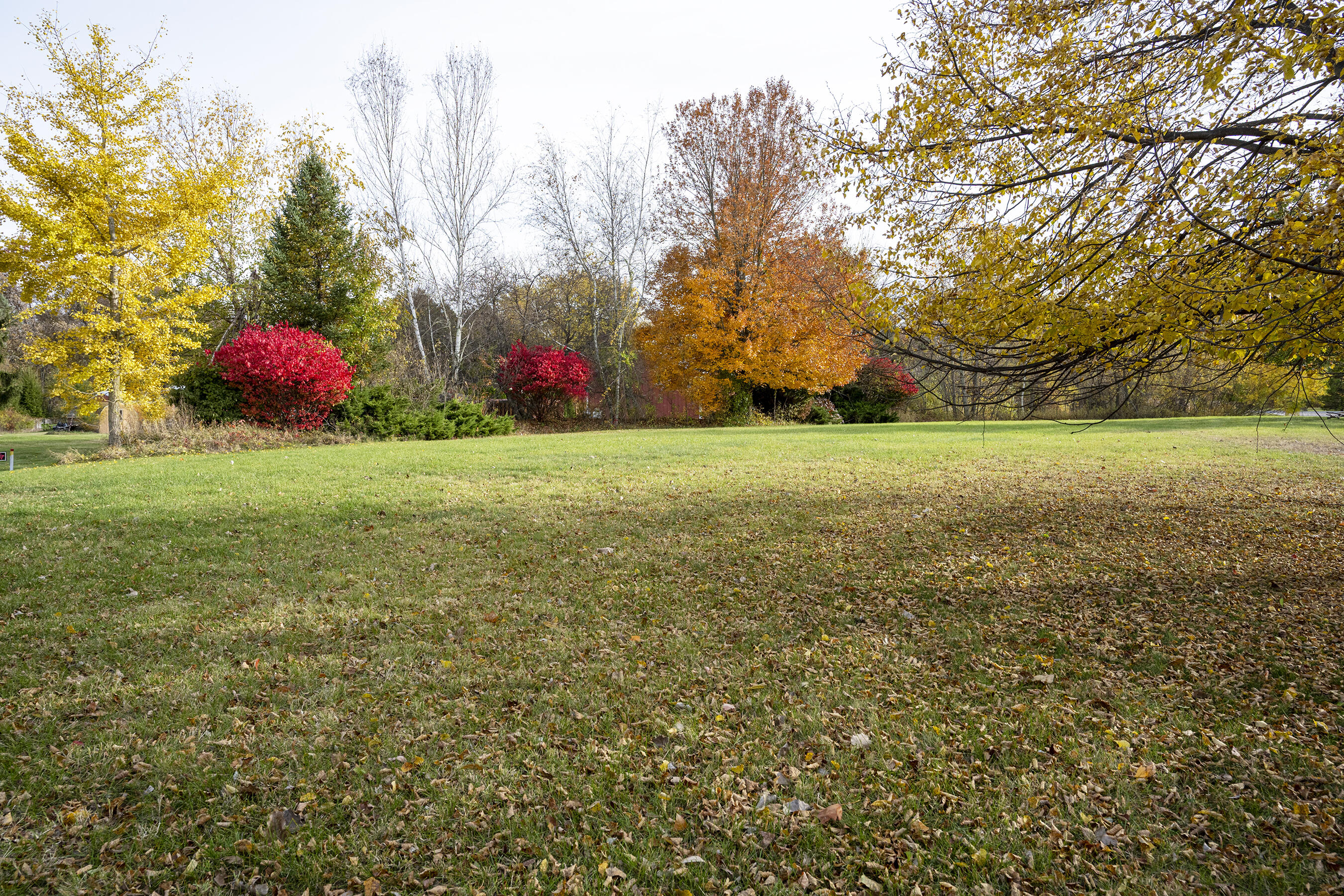 19253 White Pine Drive New Buffalo MI 49117