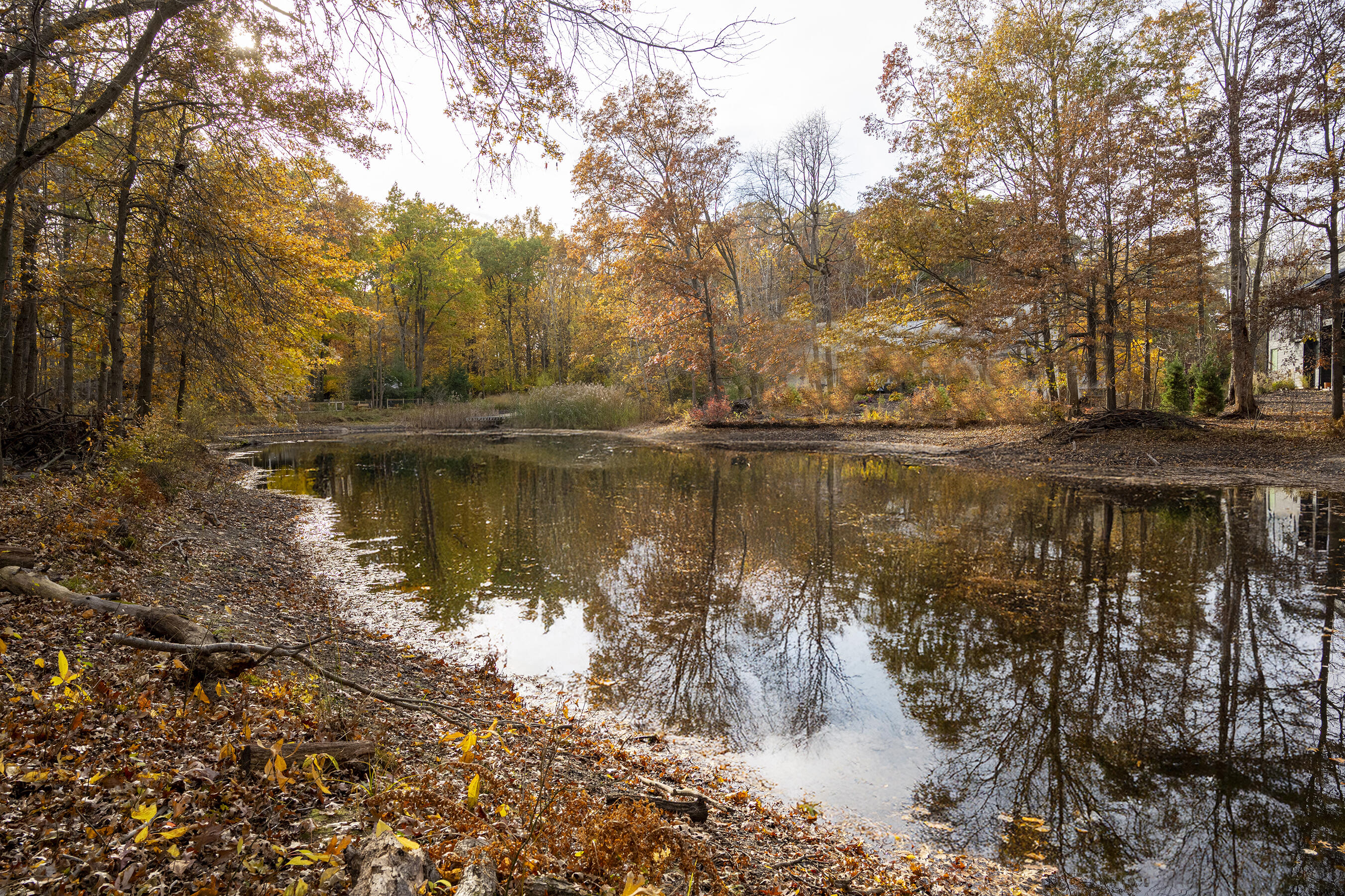 19253 White Pine Drive New Buffalo MI 49117