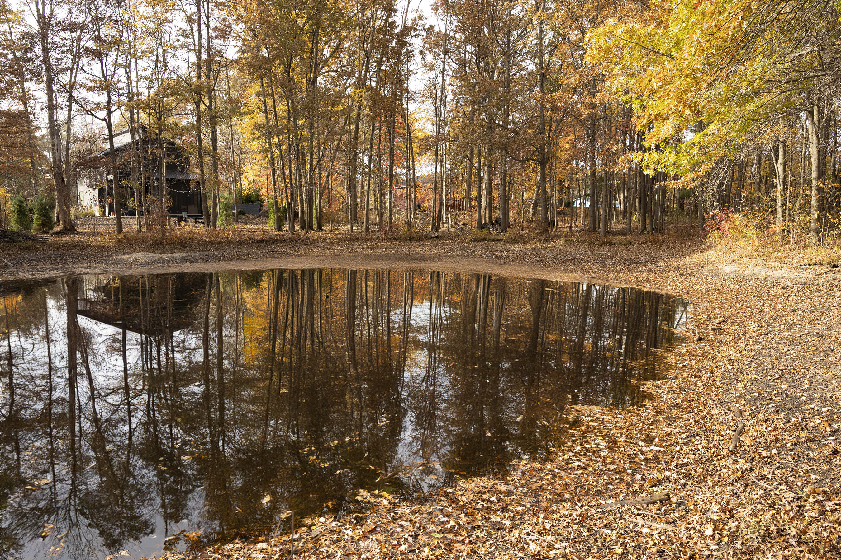 19253 White Pine Drive New Buffalo MI 49117