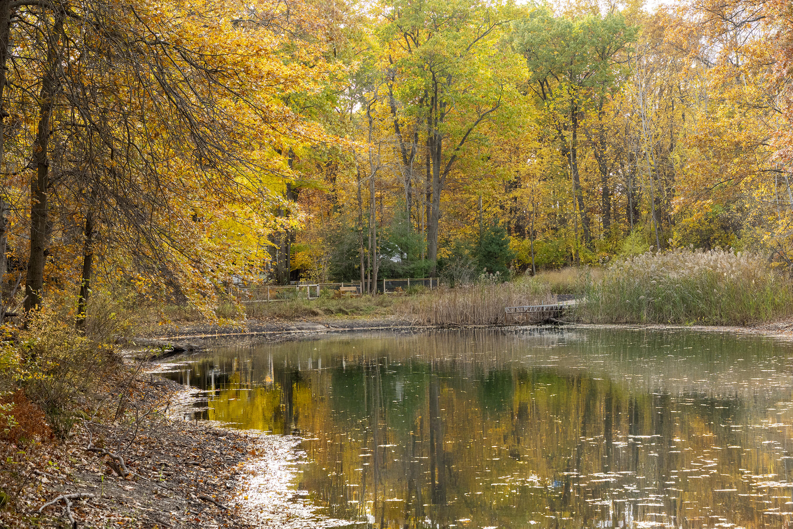 19253 White Pine Drive New Buffalo MI 49117