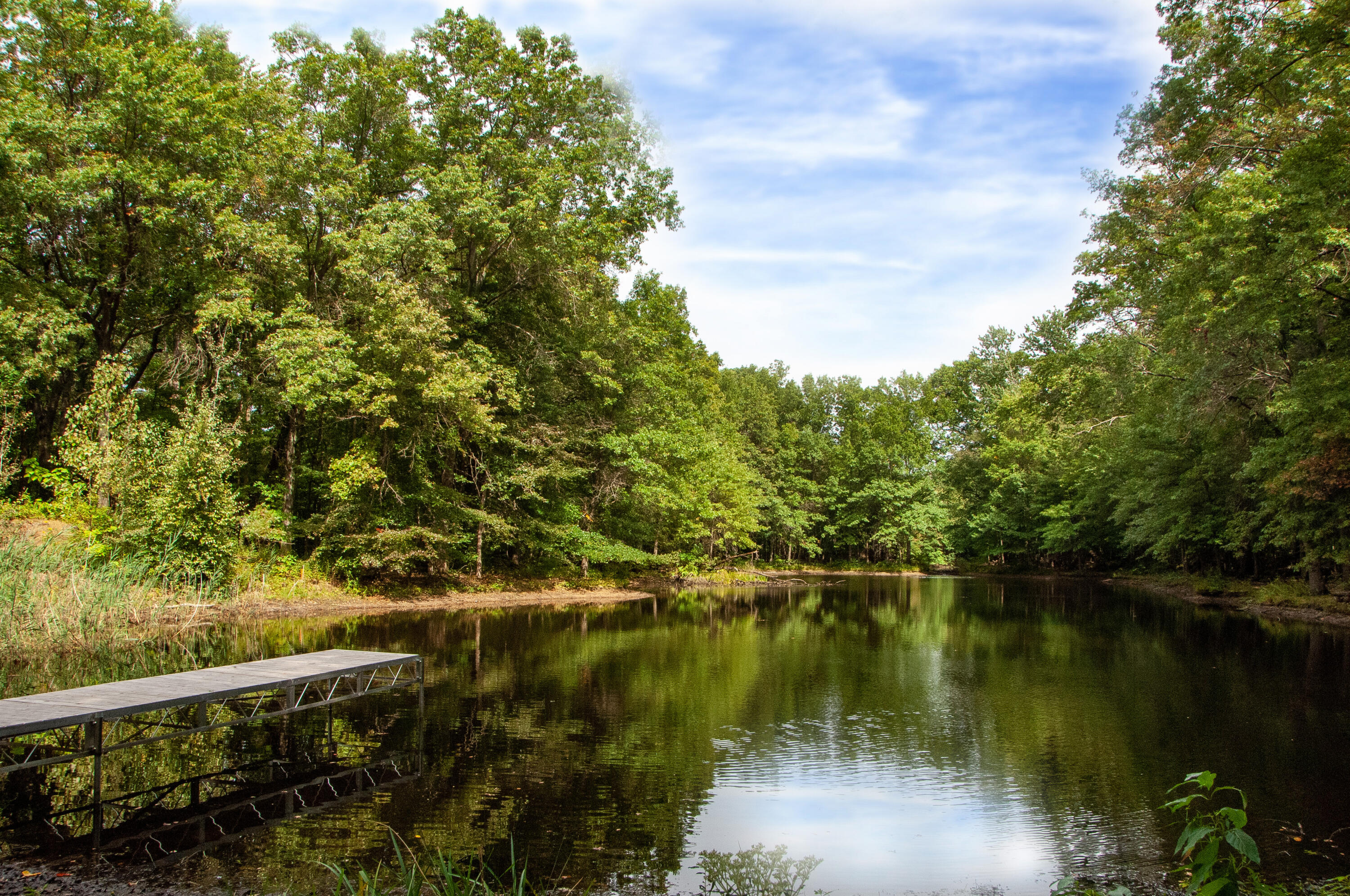 19253 White Pine Drive New Buffalo MI 49117