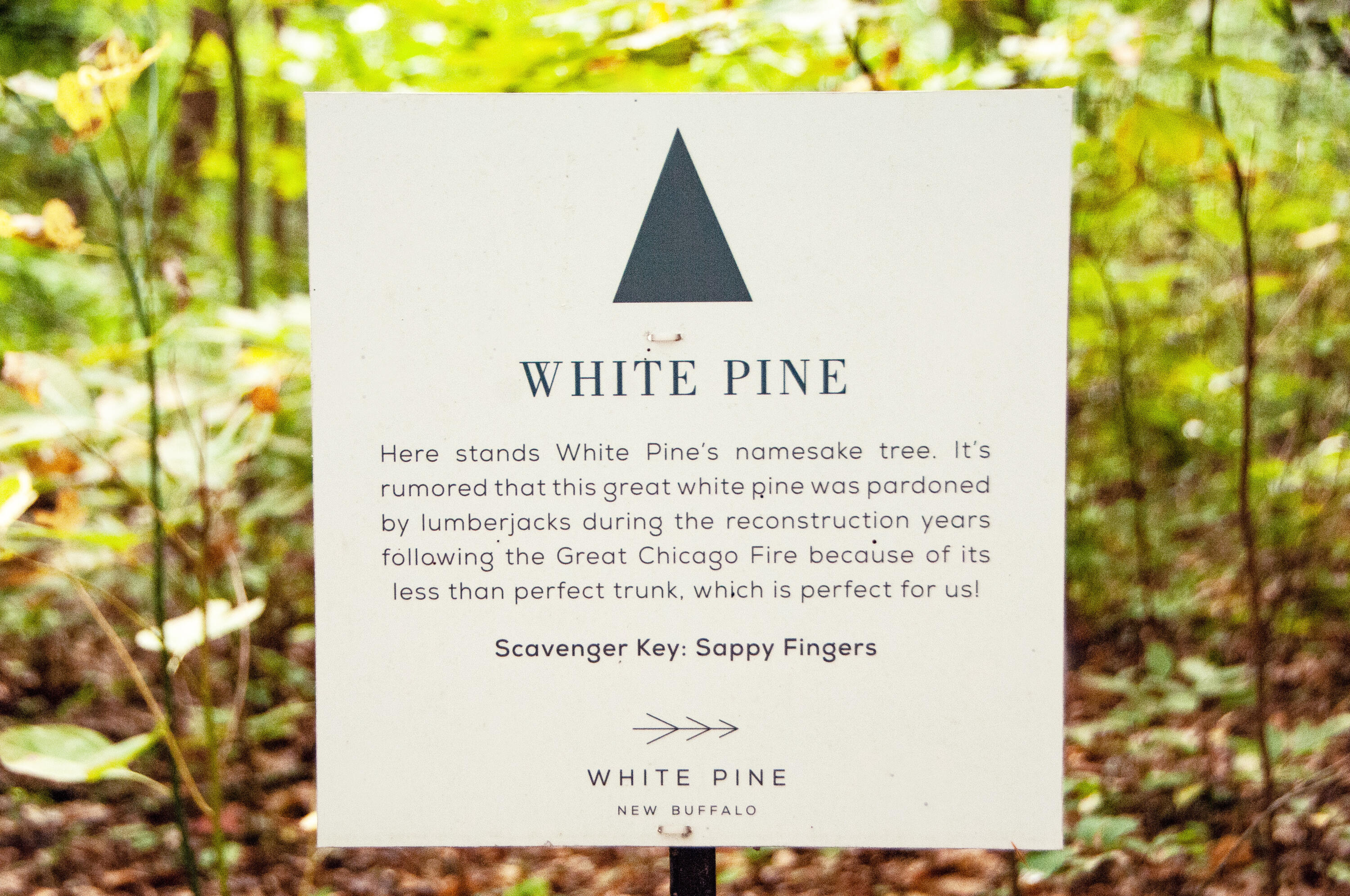 19253 White Pine Drive New Buffalo MI 49117