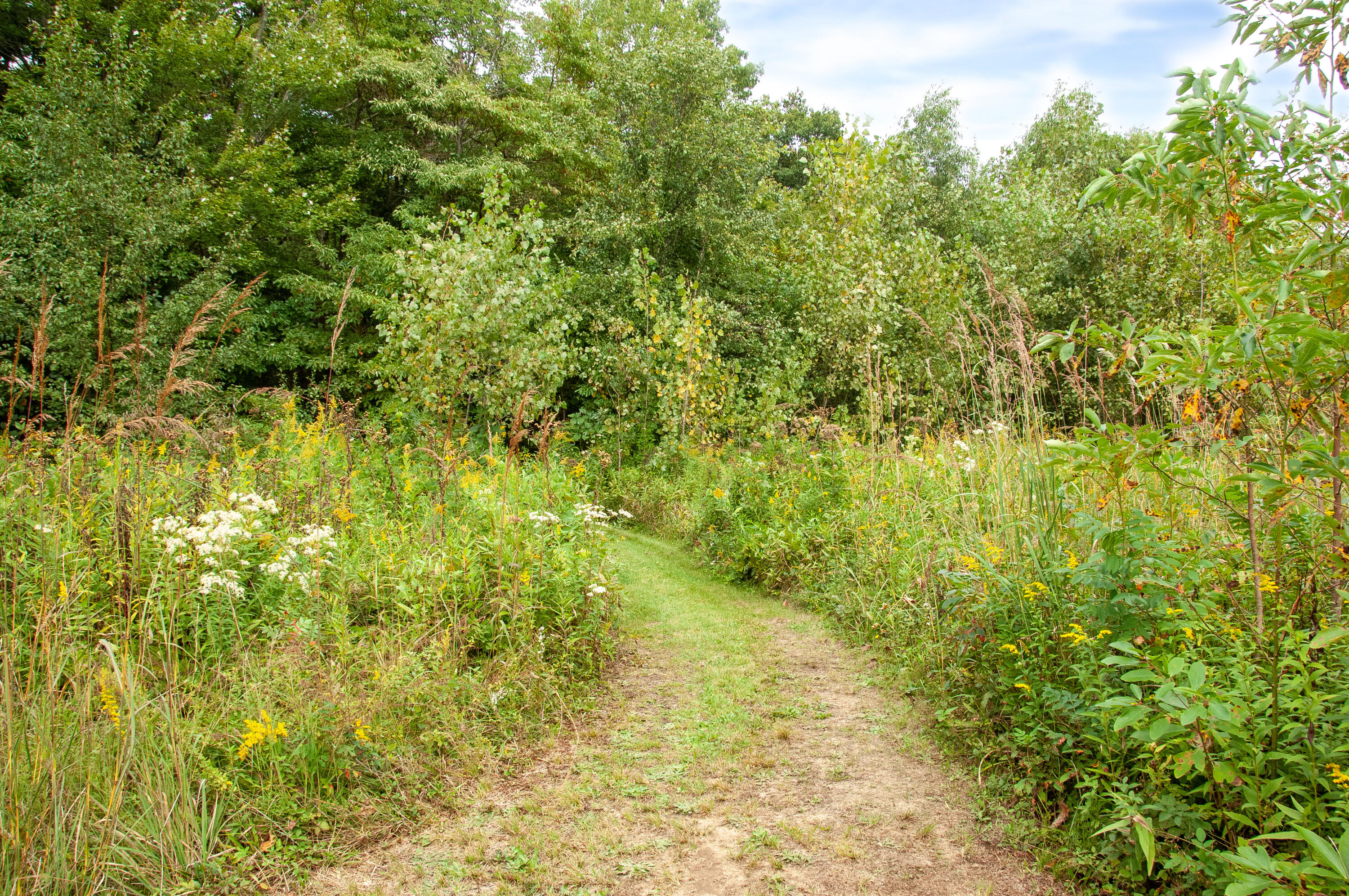 19253 White Pine Drive New Buffalo MI 49117