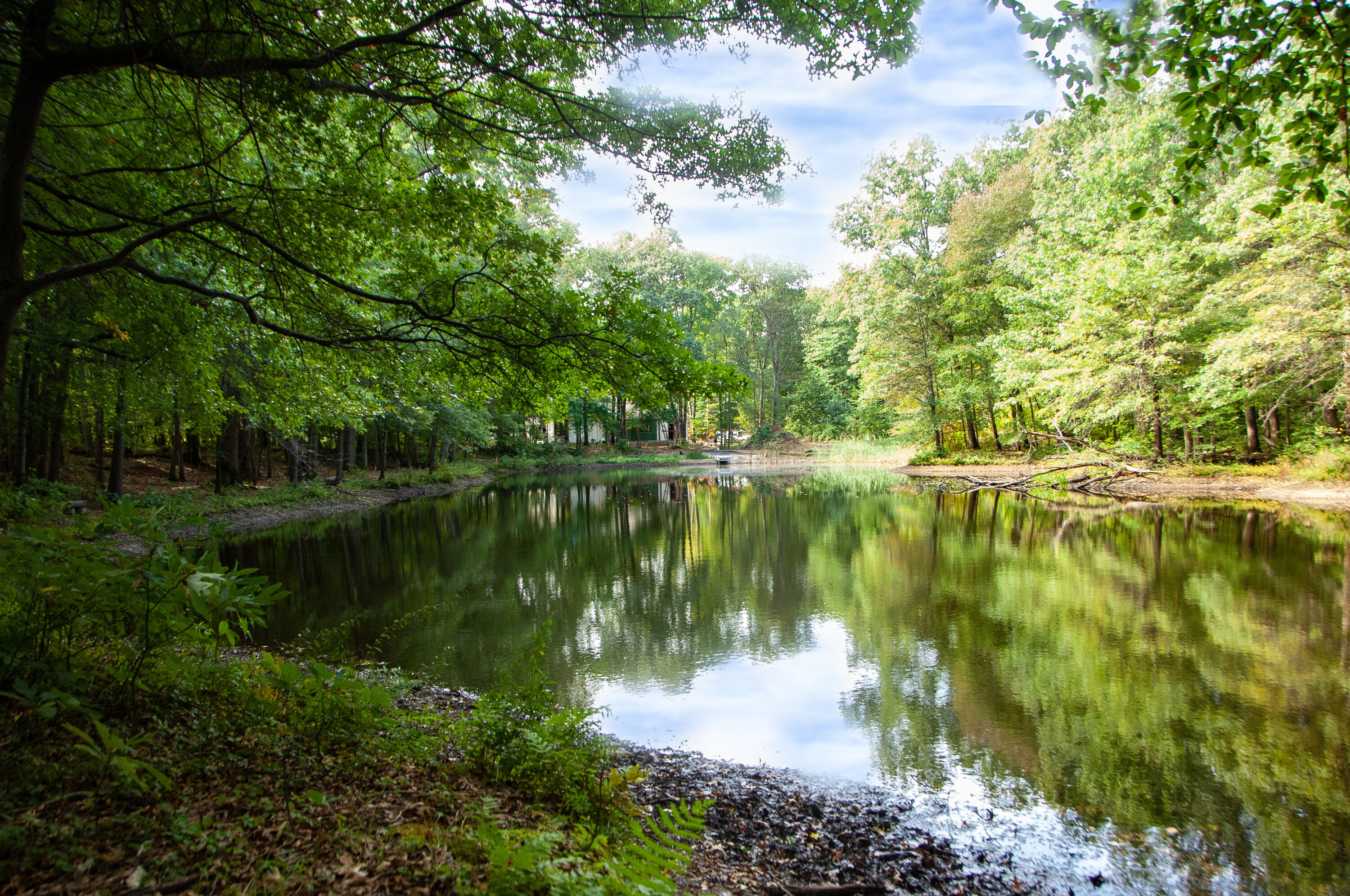 19253 White Pine Drive New Buffalo MI 49117