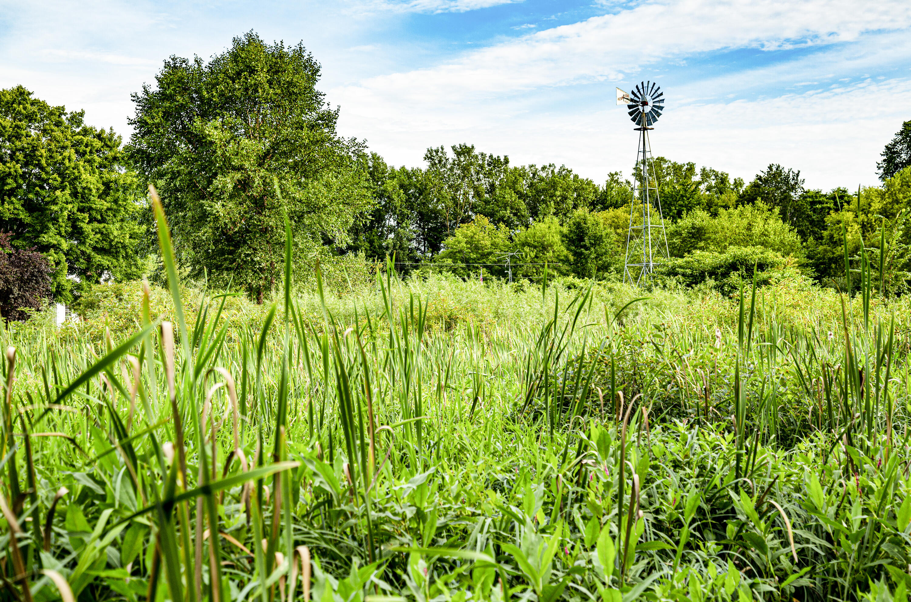 19253 White Pine Drive New Buffalo MI 49117