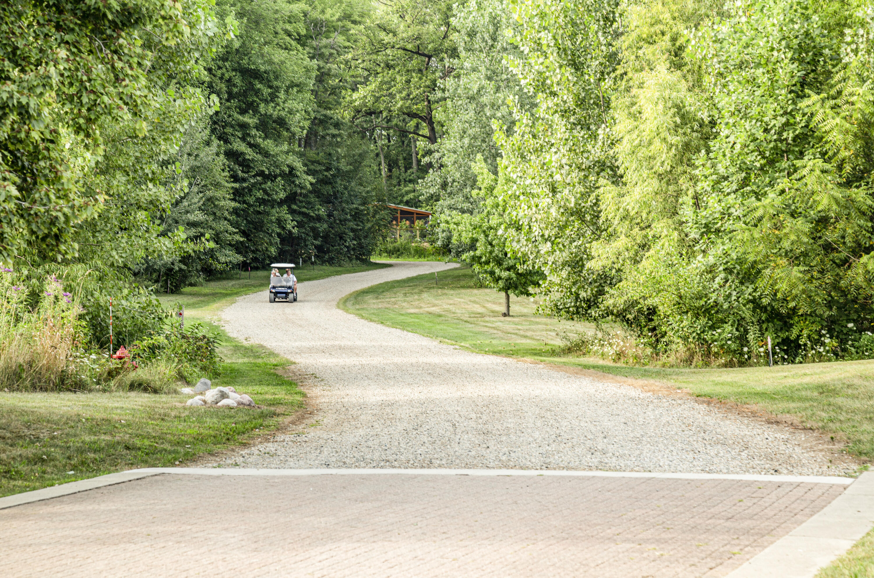 19253 White Pine Drive New Buffalo MI 49117