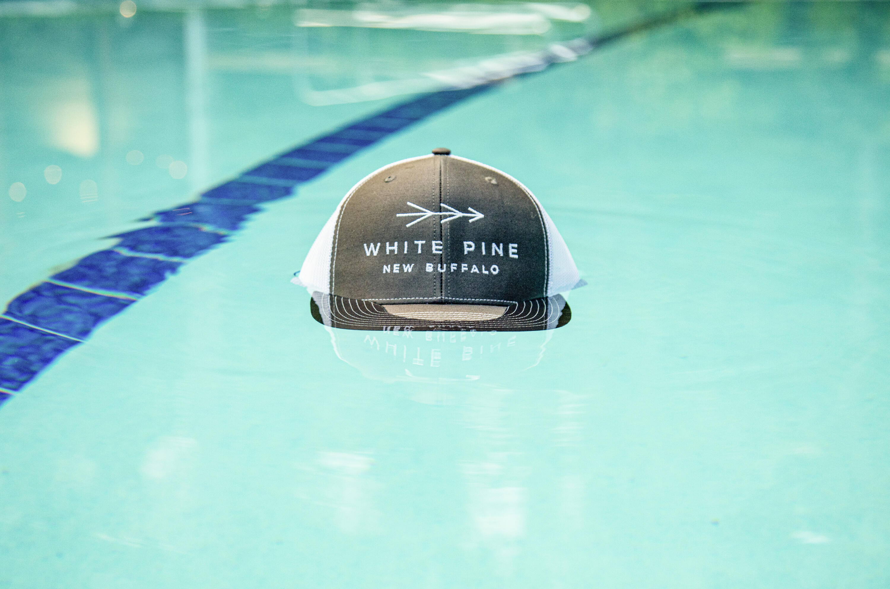 19253 White Pine Drive New Buffalo MI 49117