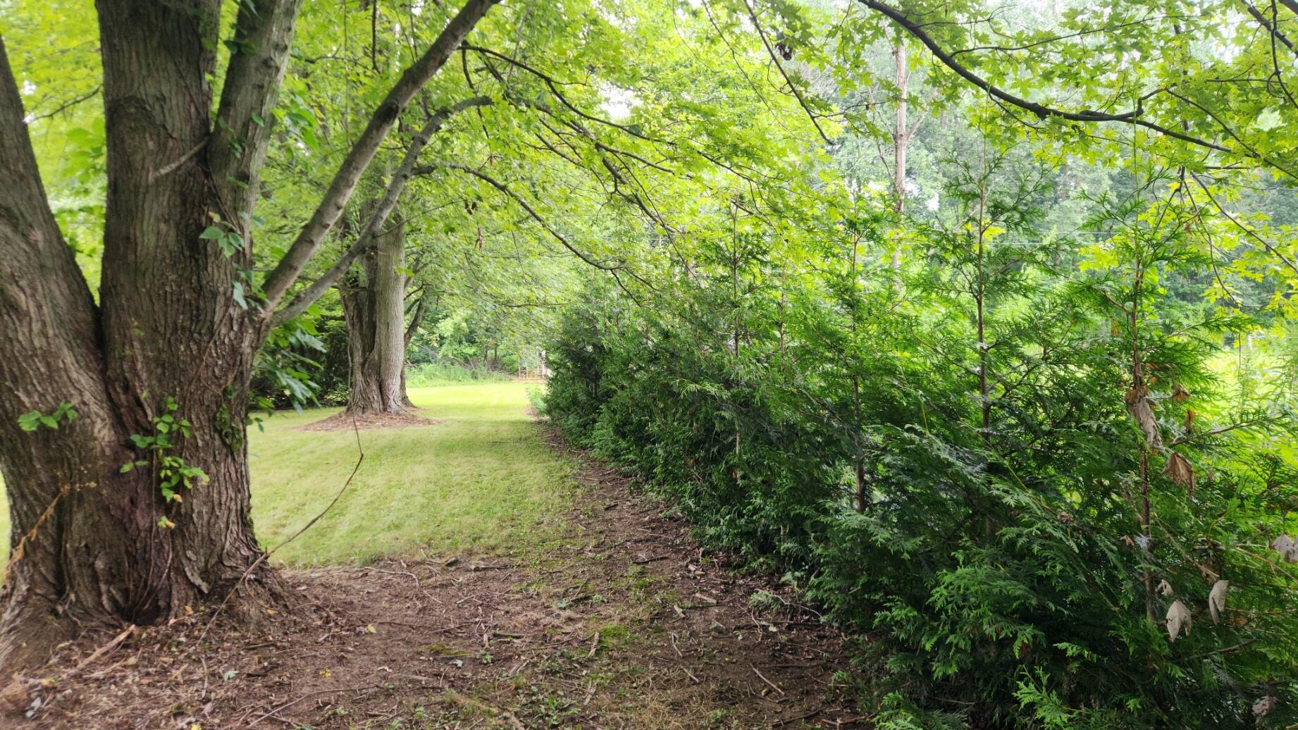 Tharp Lake Road Cassopolis MI 49031