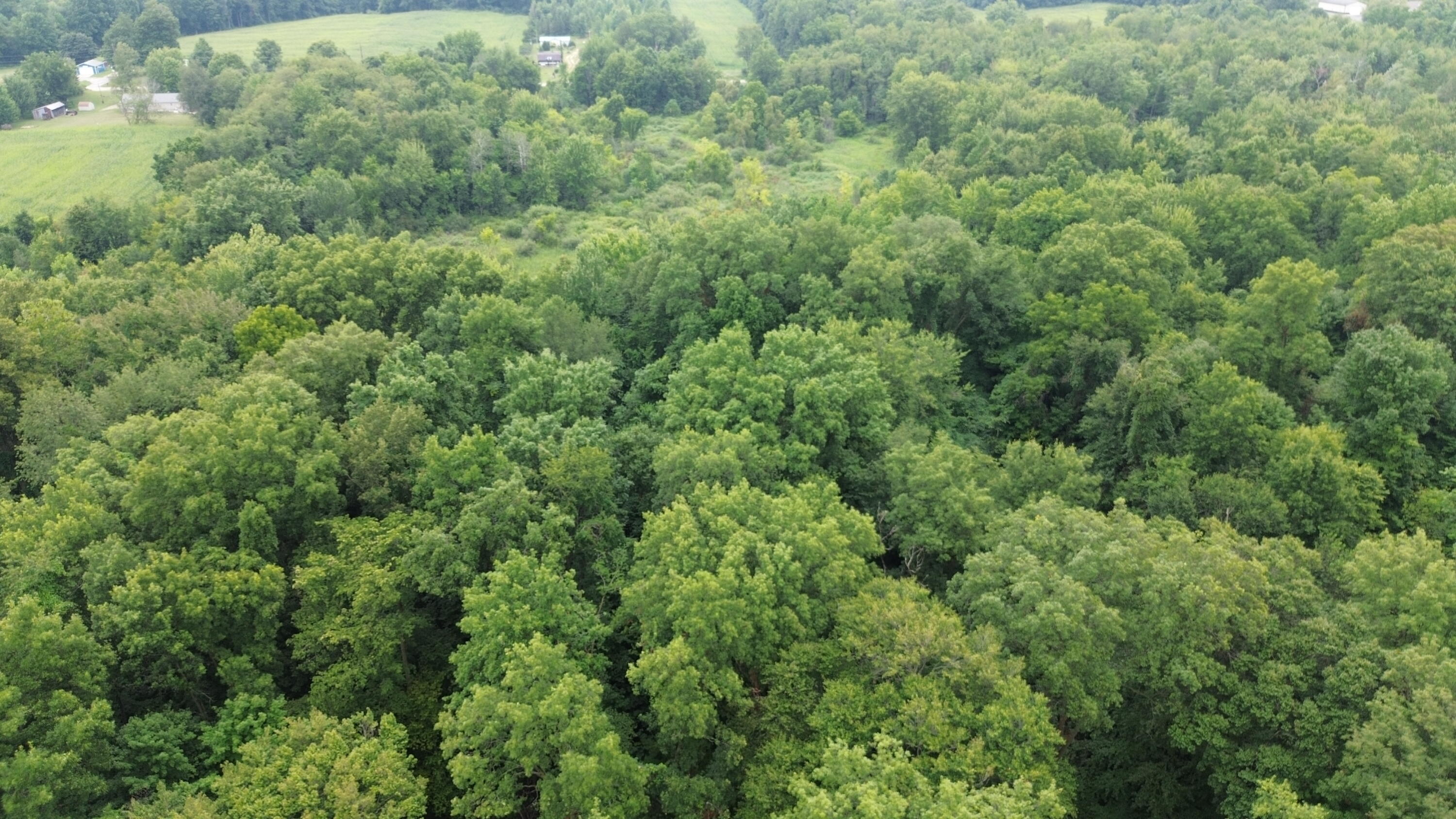 Tharp Lake Road Cassopolis MI 49031