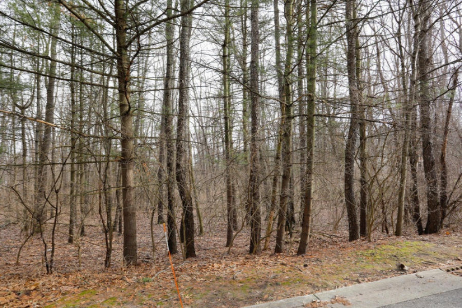 5093 Grand Arbre Trail Portage MI 49024