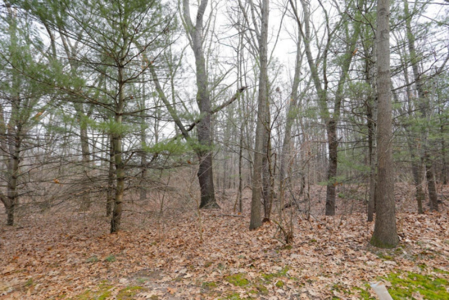 5093 Grand Arbre Trail Portage MI 49024