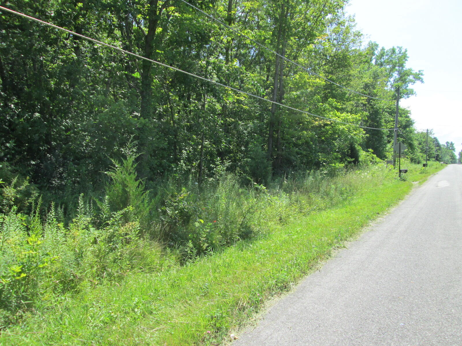 Sawyer MI, Flynn Road