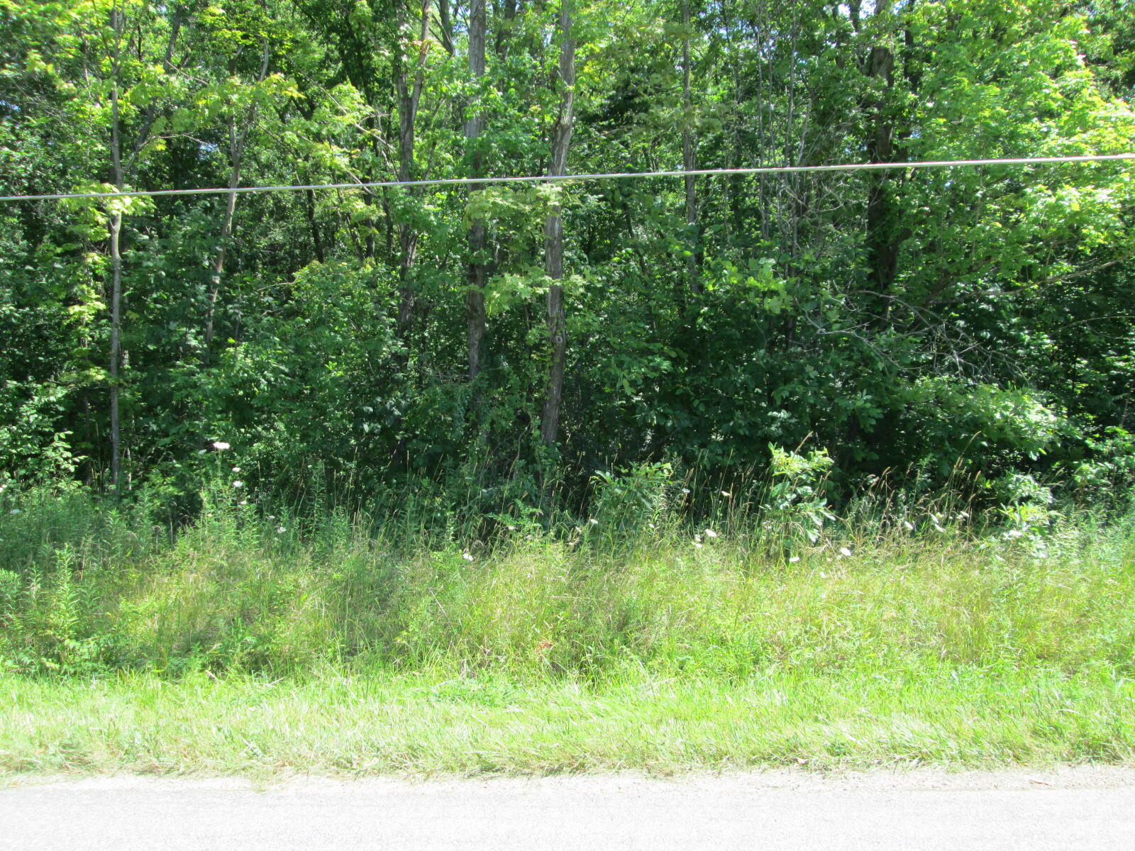 Flynn Road Sawyer MI 49125