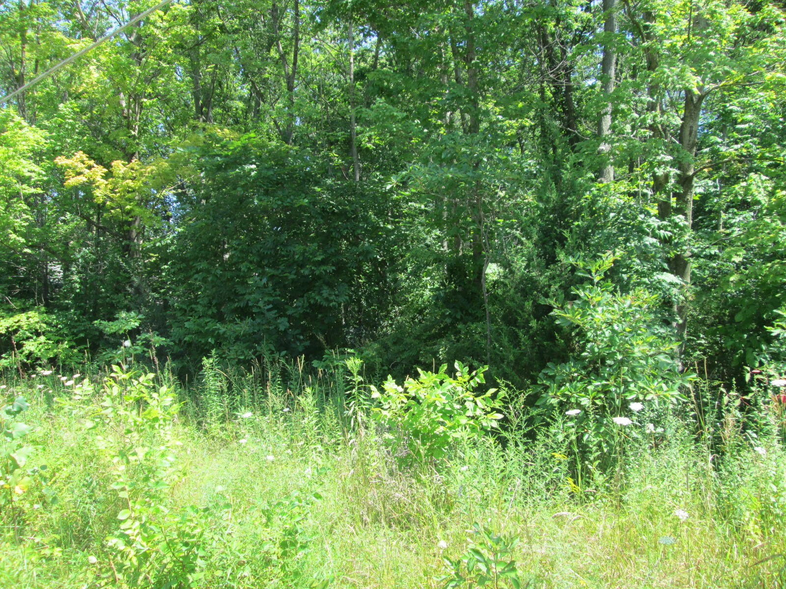 Flynn Road Sawyer MI 49125