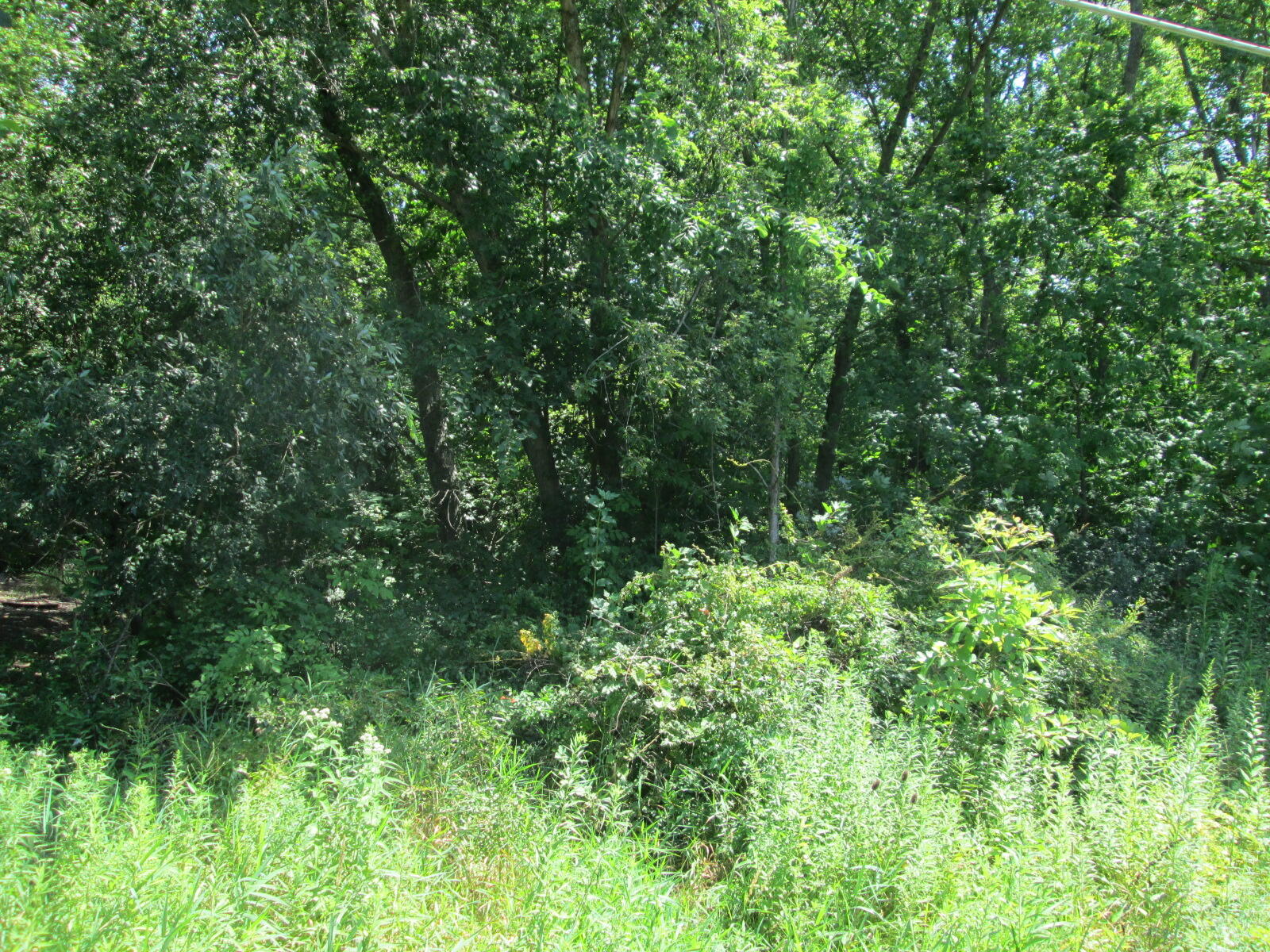 Flynn Road Sawyer MI 49125
