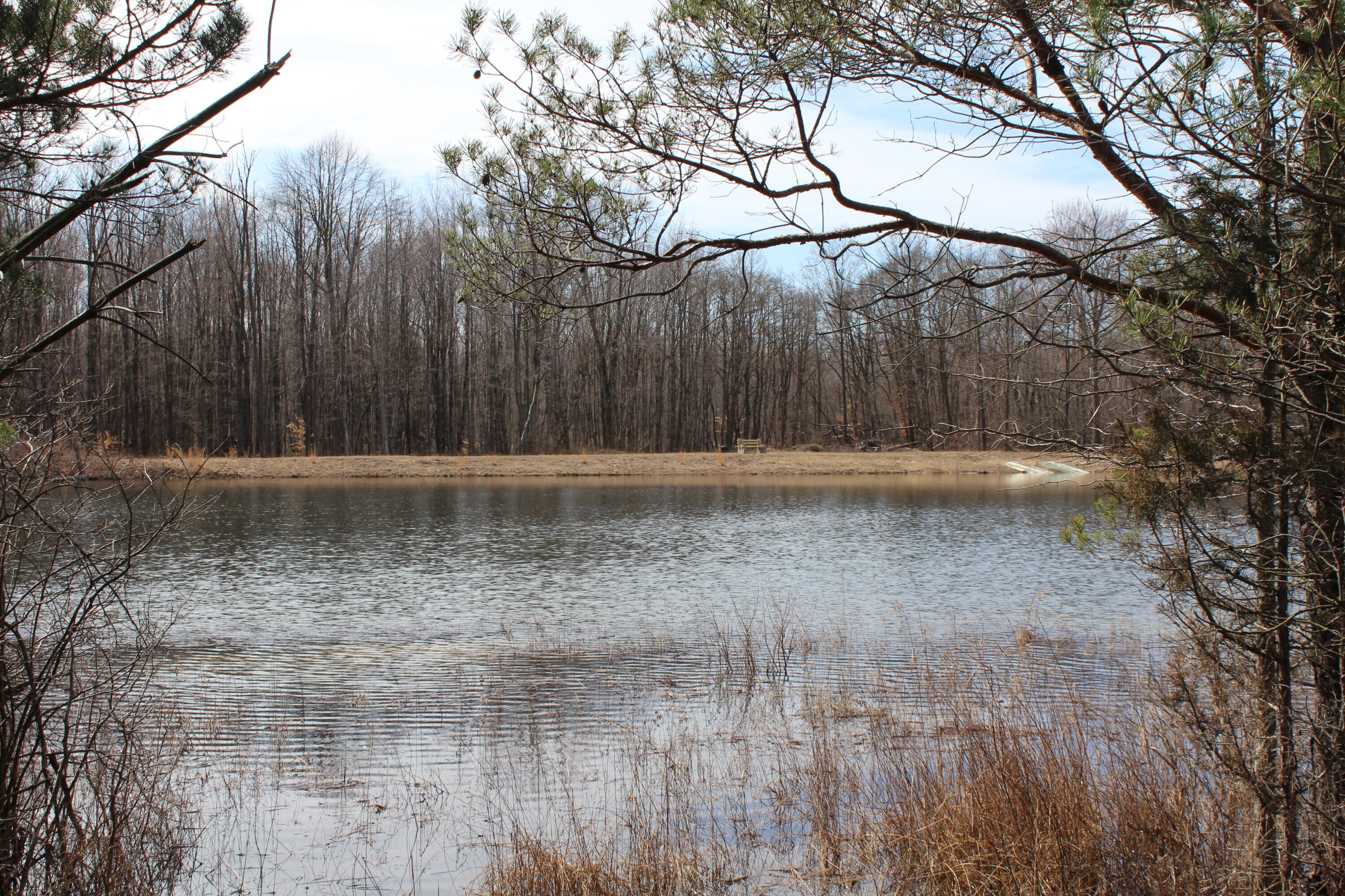 43278 Whispering Pines Path Coloma MI 49038