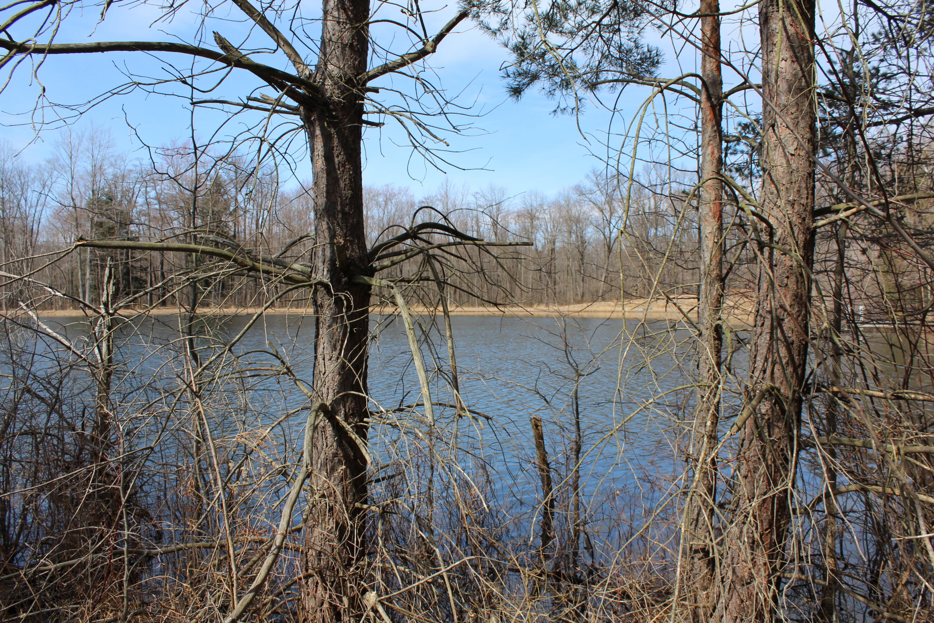 43278 Whispering Pines Path Coloma MI 49038