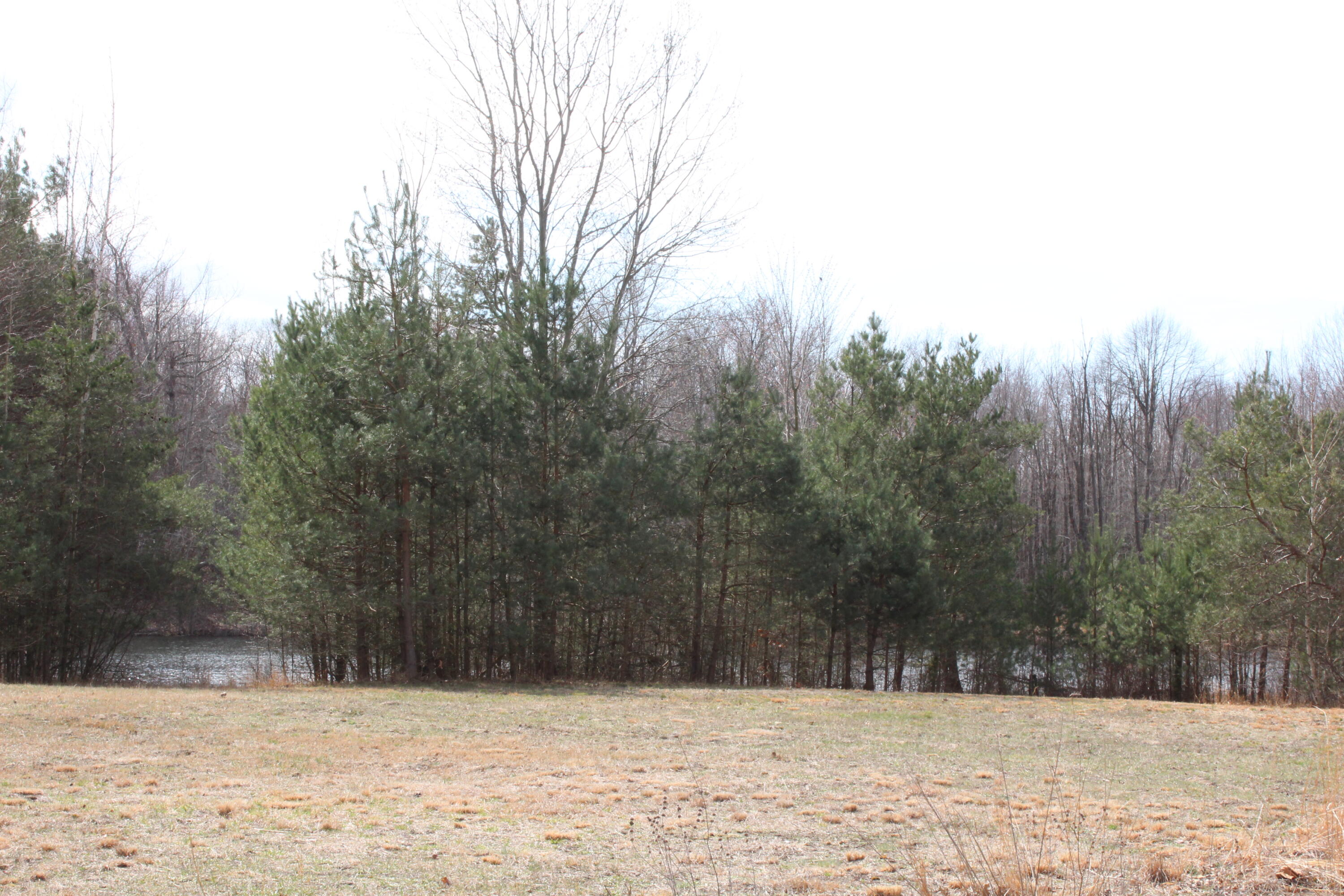 43278 Whispering Pines Path Coloma MI 49038