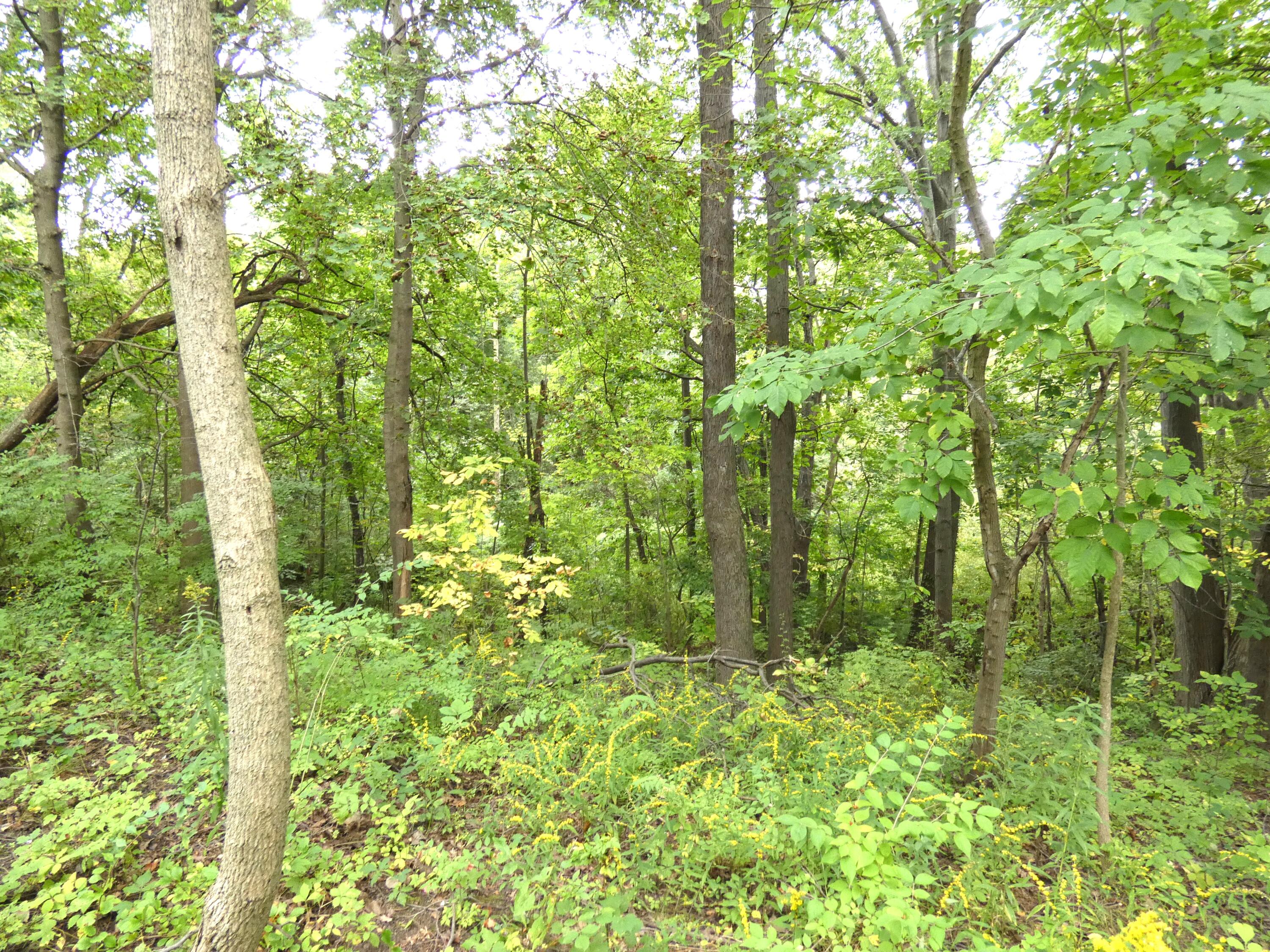 530 Rembert Court Benton Harbor MI 49022