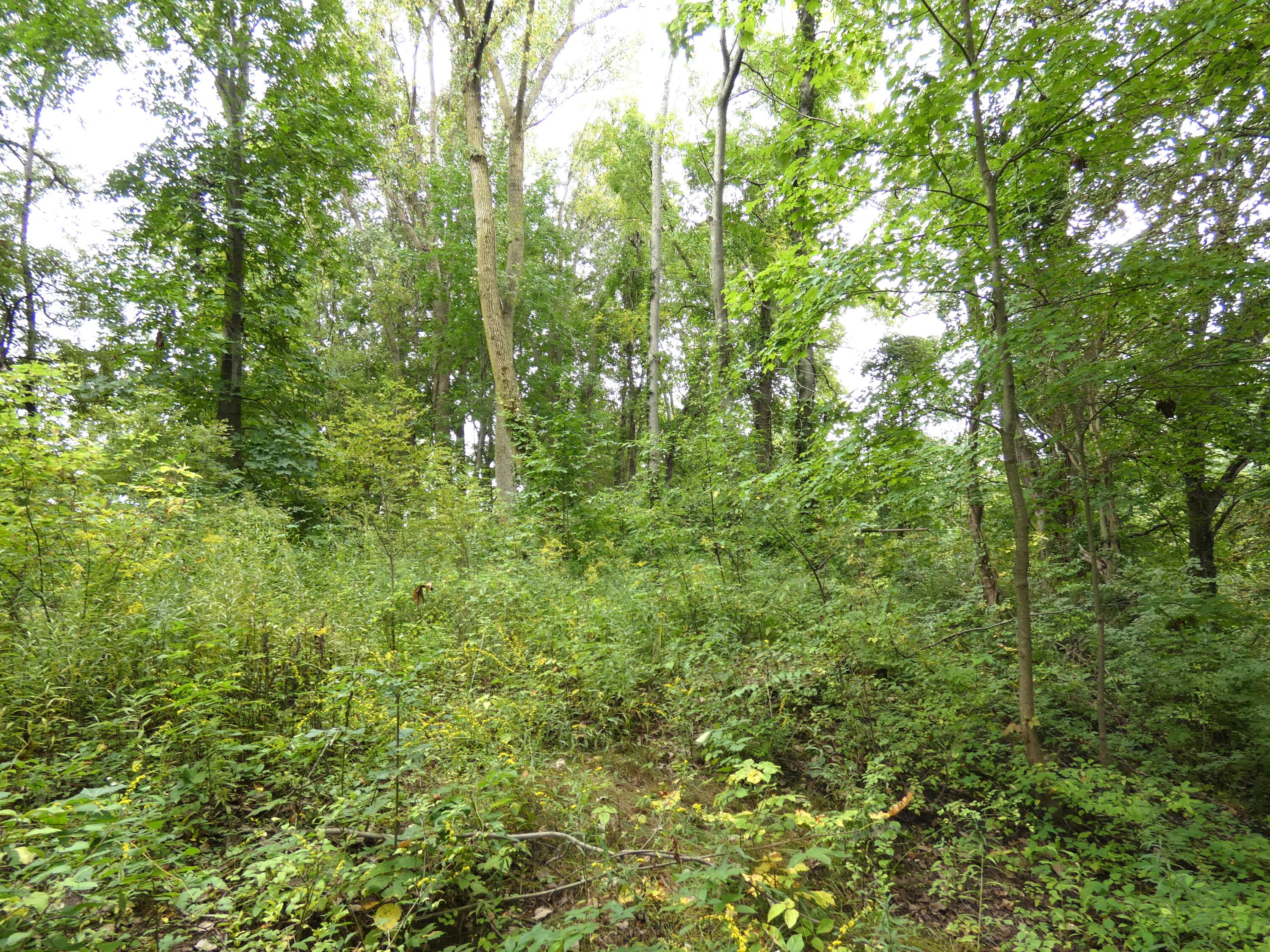 530 Rembert Court Benton Harbor MI 49022