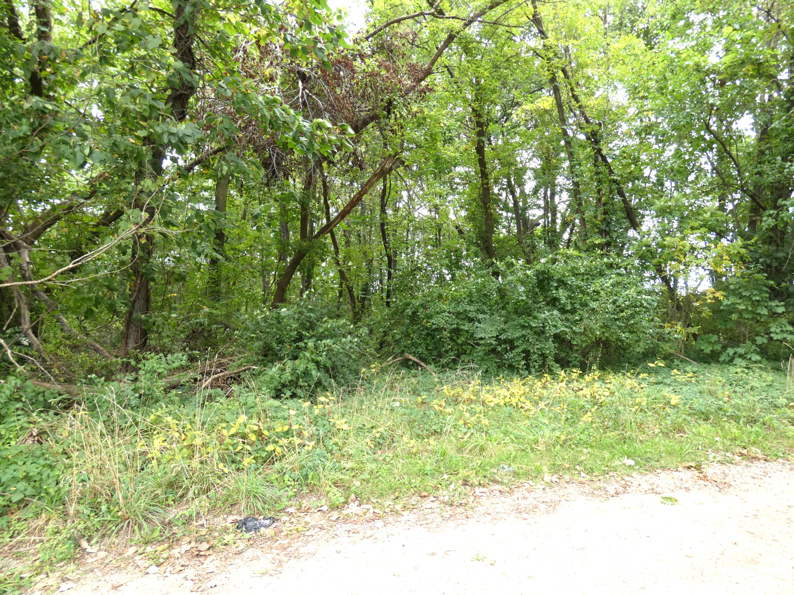 530 Rembert Court Benton Harbor MI 49022
