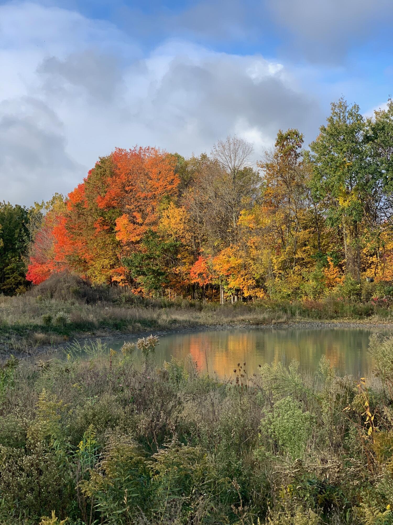 V/l Hidden Creek Trail Hamilton MI 49419