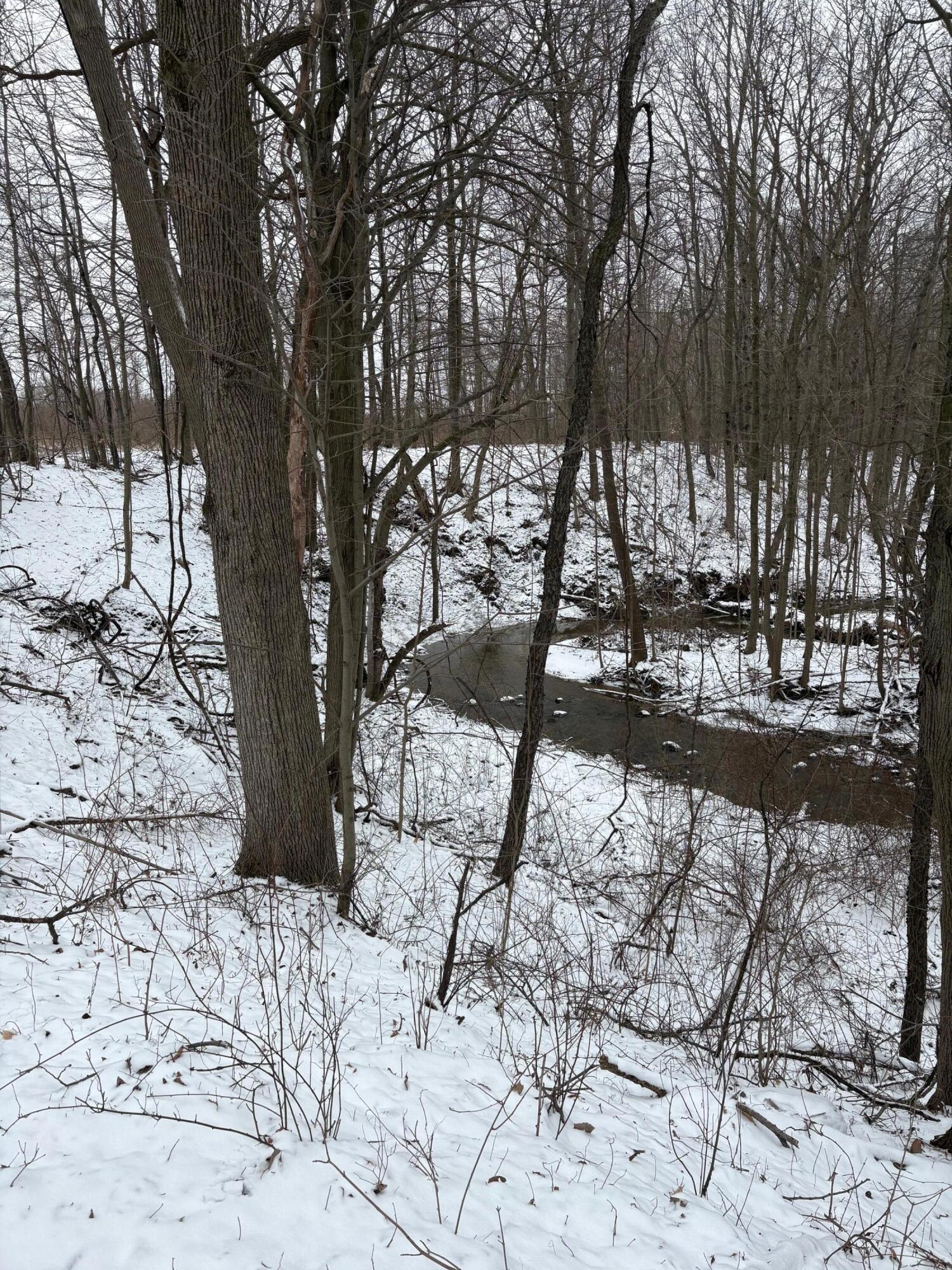 V/l Hidden Creek Trail Hamilton MI 49419